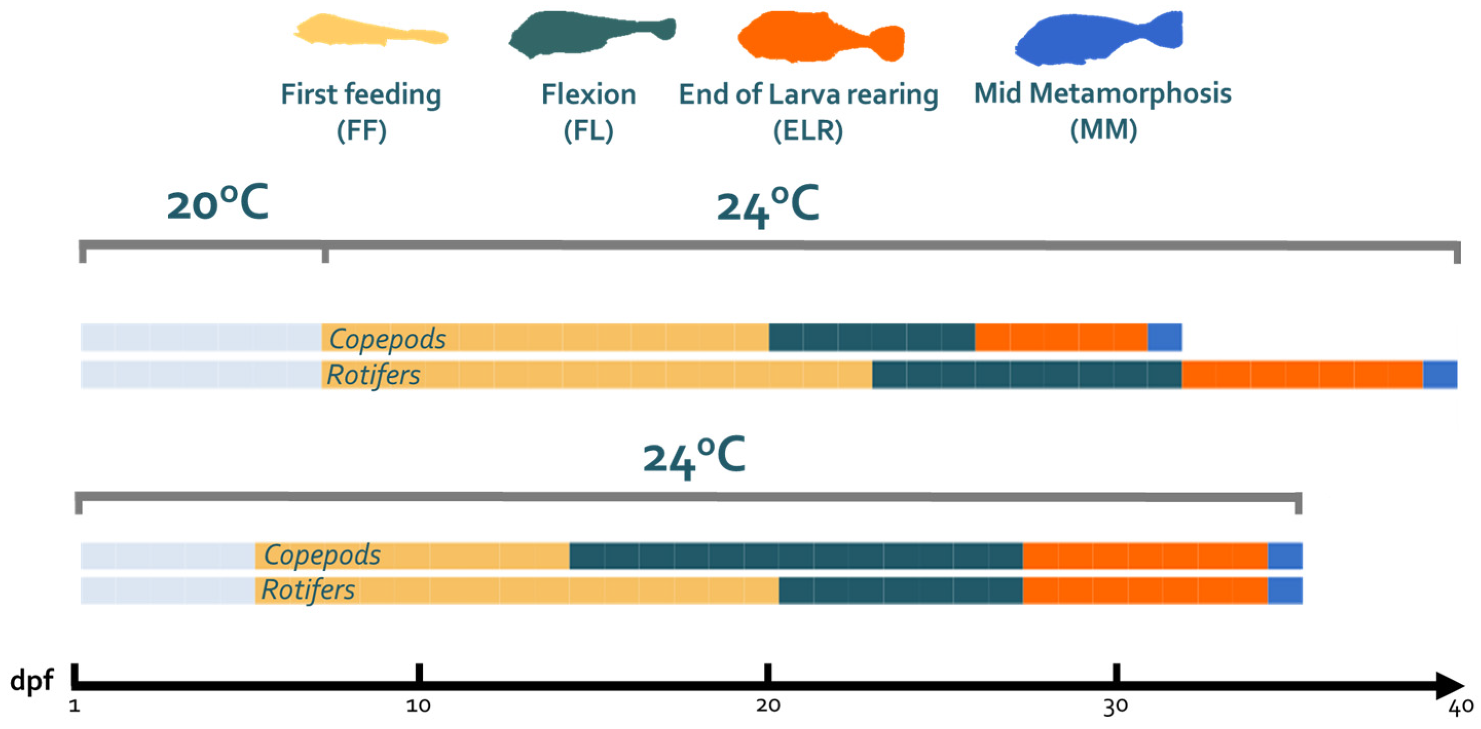 Fishes 10 00360 g001