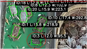 Fishes 10 00364 i002