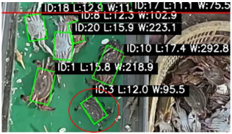 Fishes 10 00364 i004