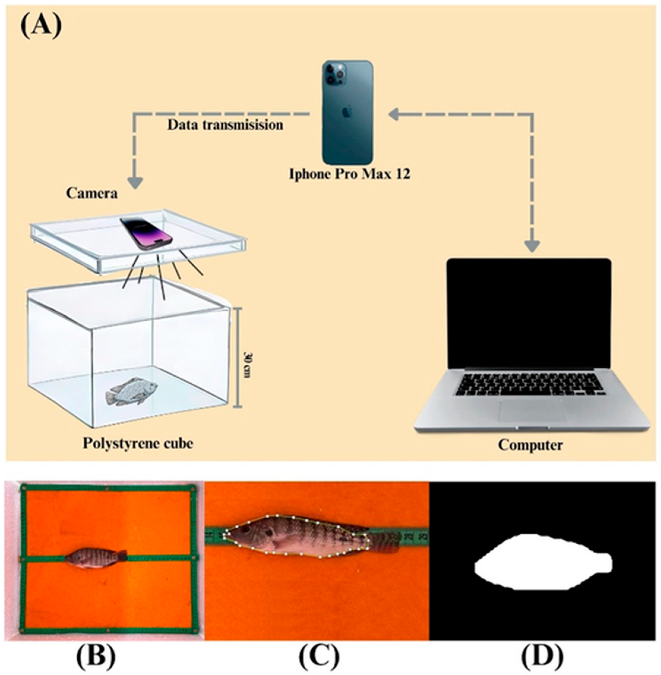 Fishes 10 00371 g001