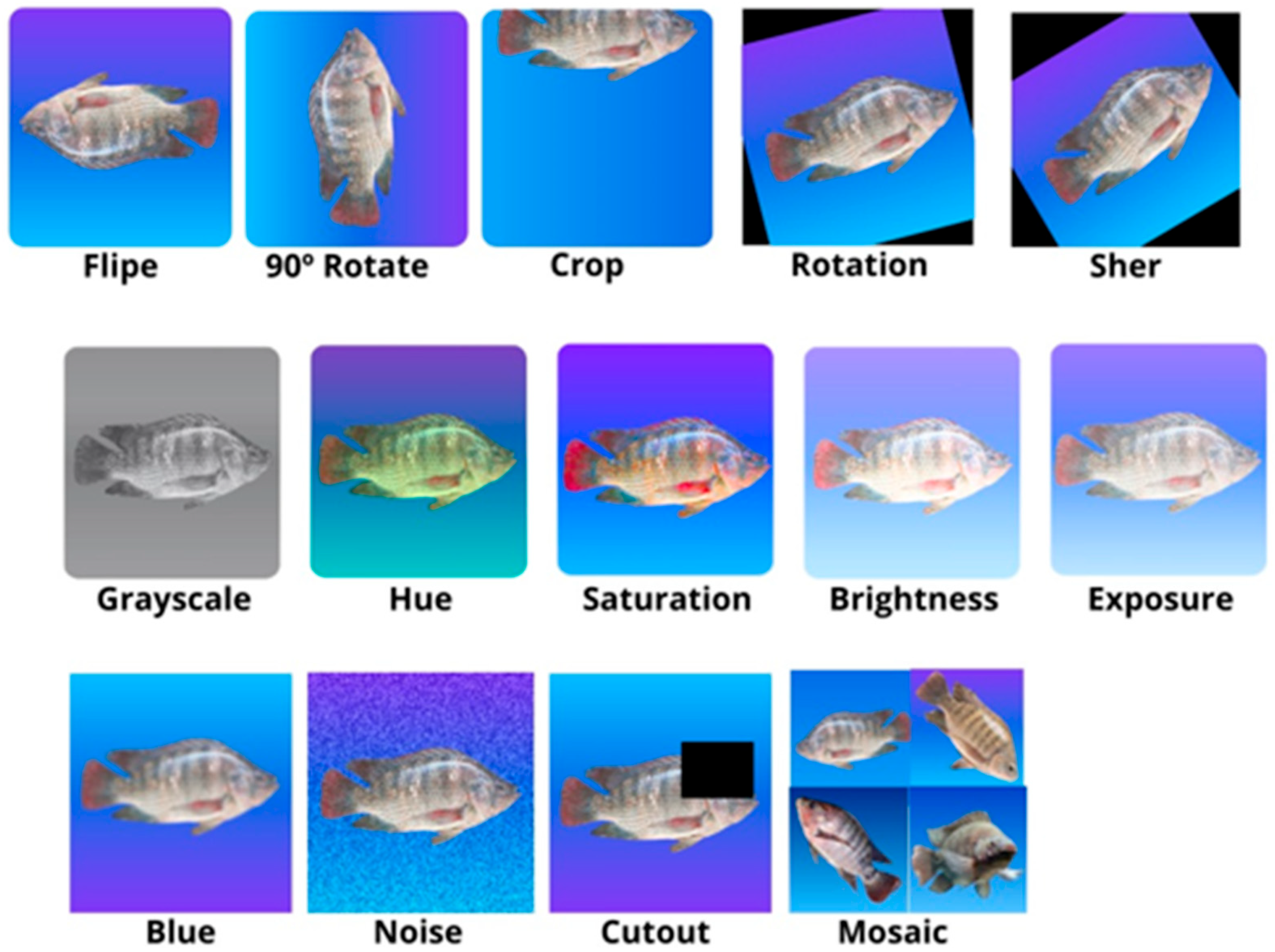 Fishes 10 00371 g002