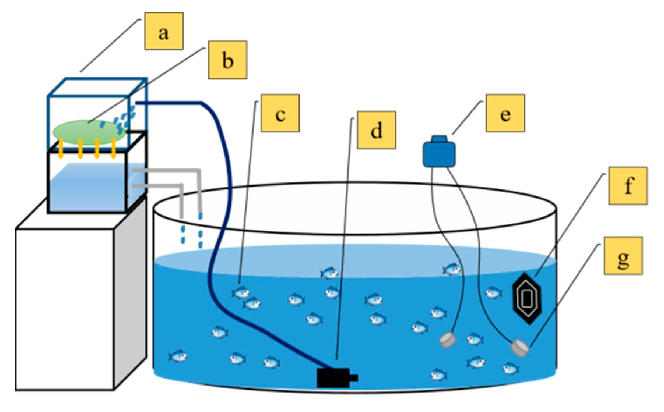 Fishes 10 00372 g002