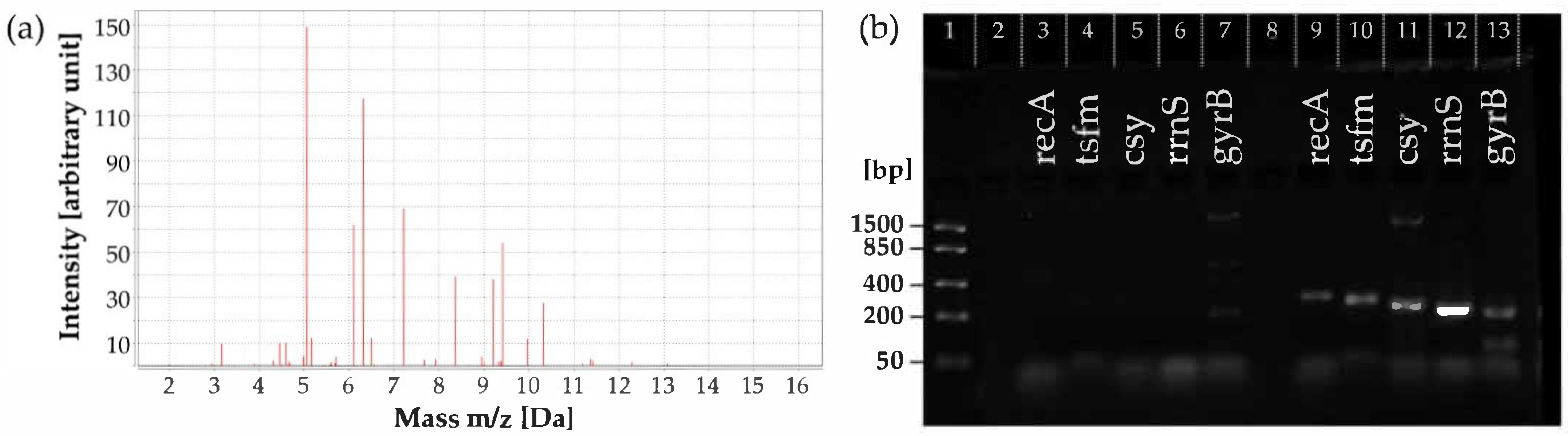 Fishes 10 00374 g001