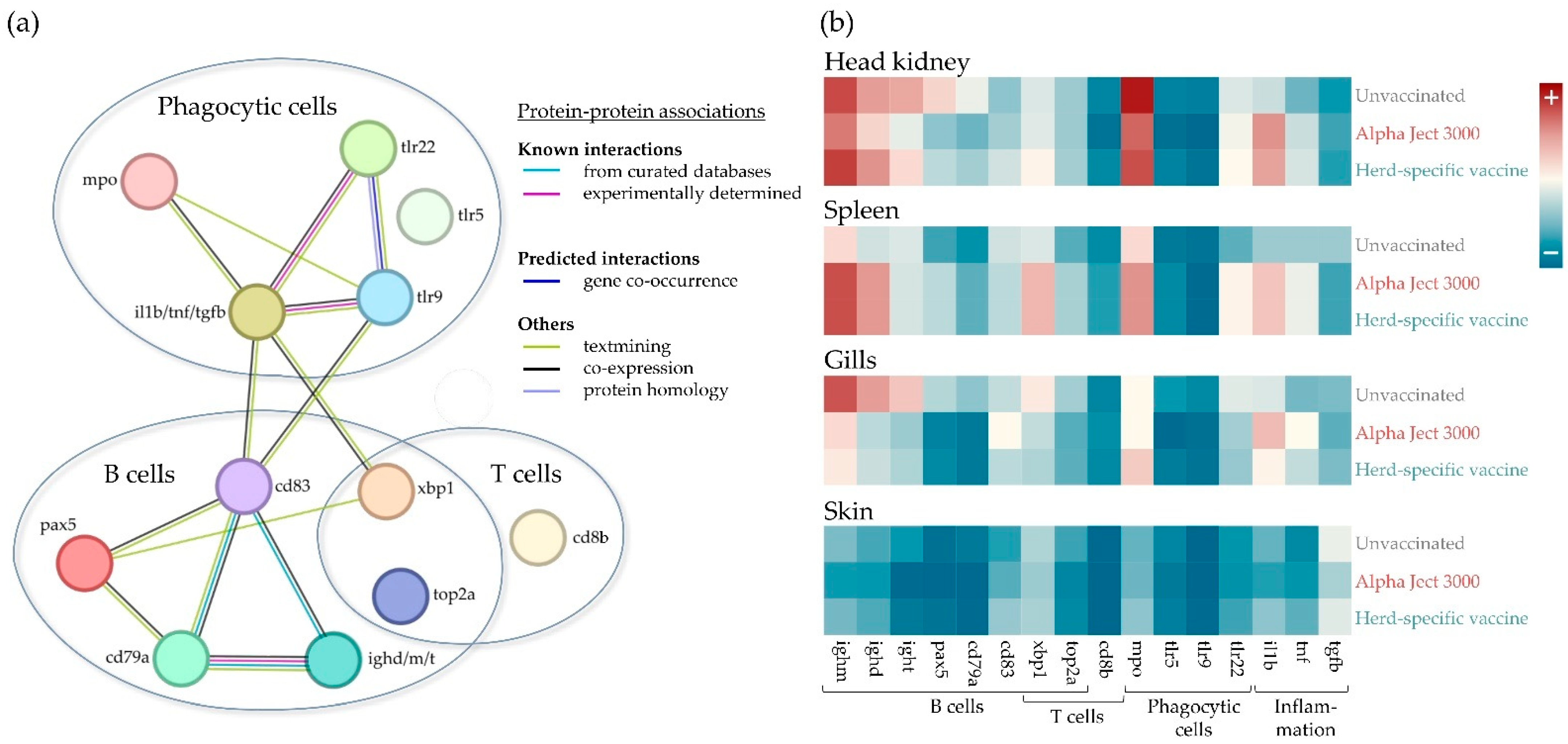 Fishes 10 00374 g004