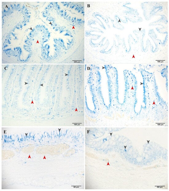Fishes 10 00386 g005