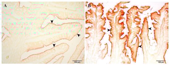 Fishes 10 00386 g007