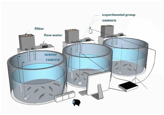 Fishes 10 00406 g001