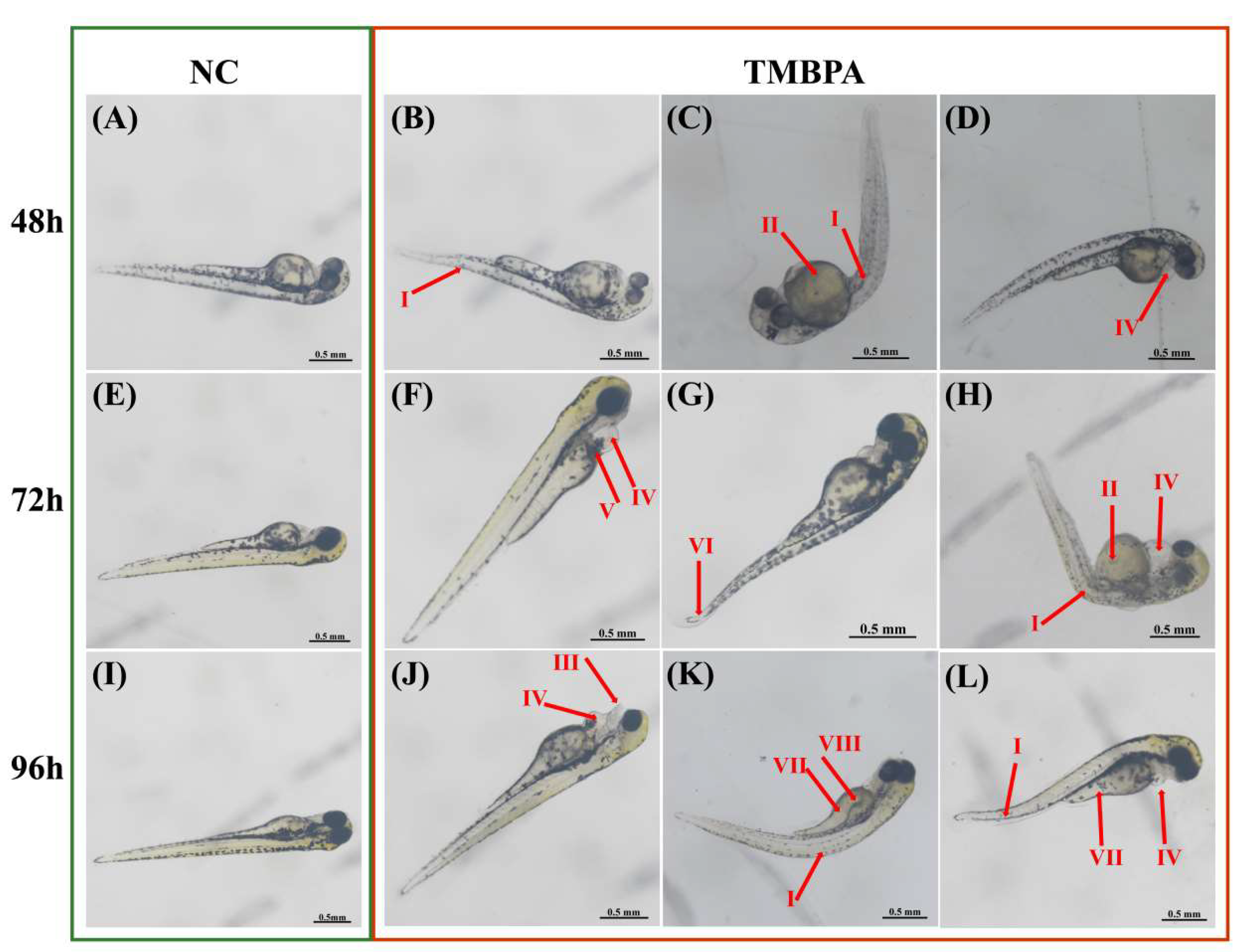 Fishes 10 00407 g002 Fishes 10 00407 g002