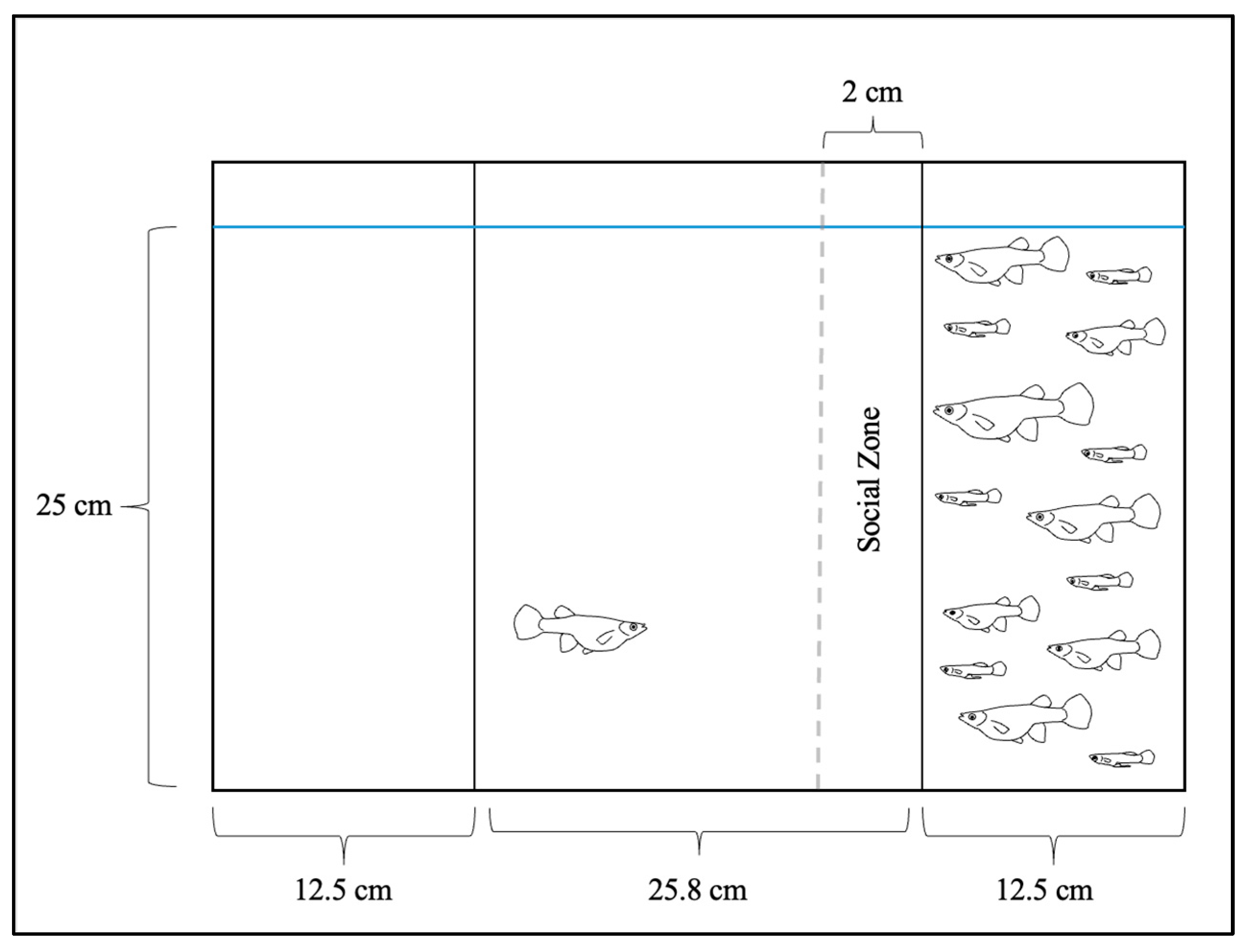 Fishes 10 00421 g005