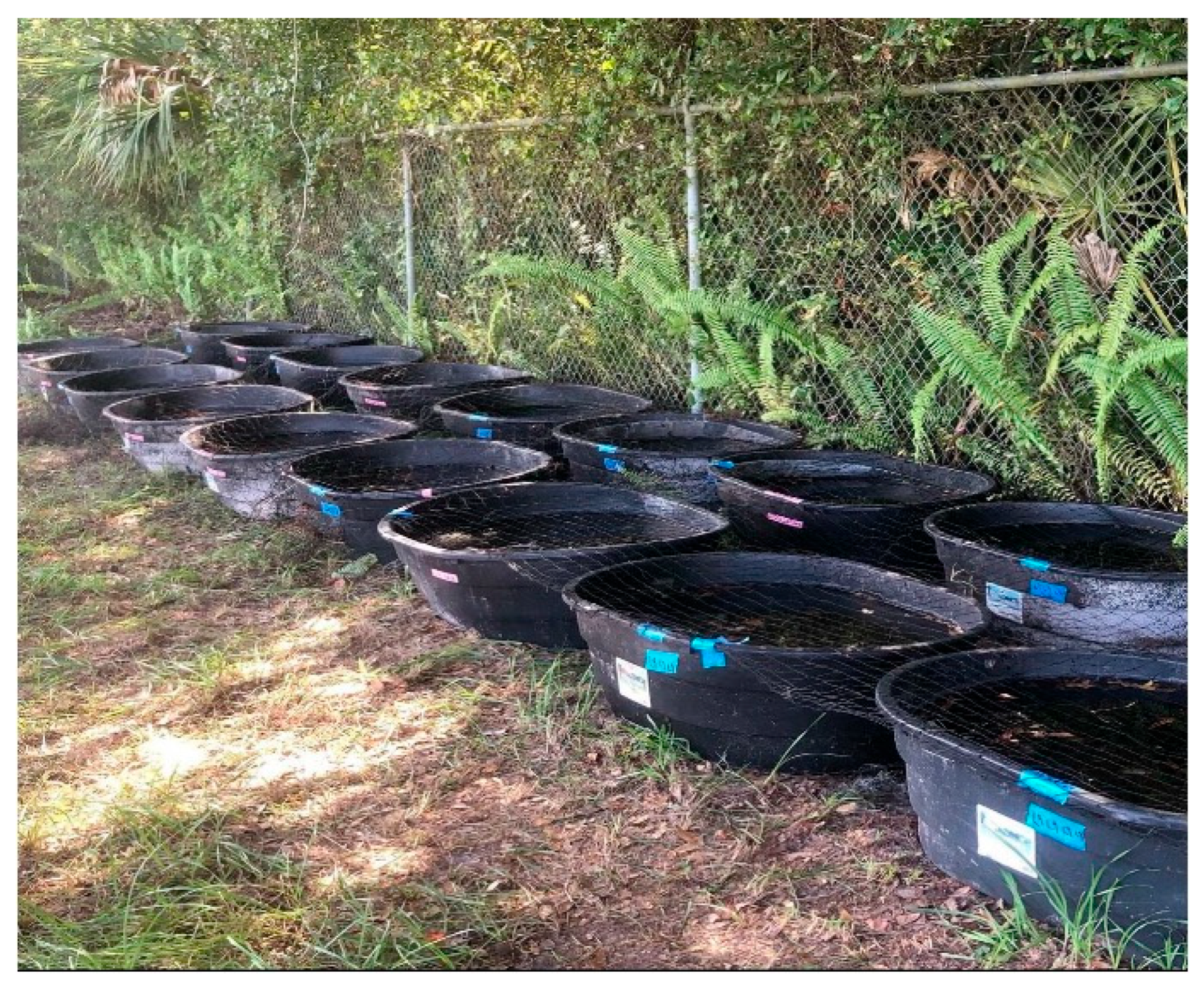 Fishes 10 00421 g006