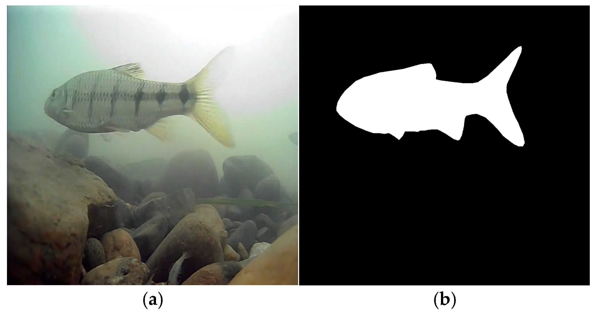 Fishes 10 00424 g007