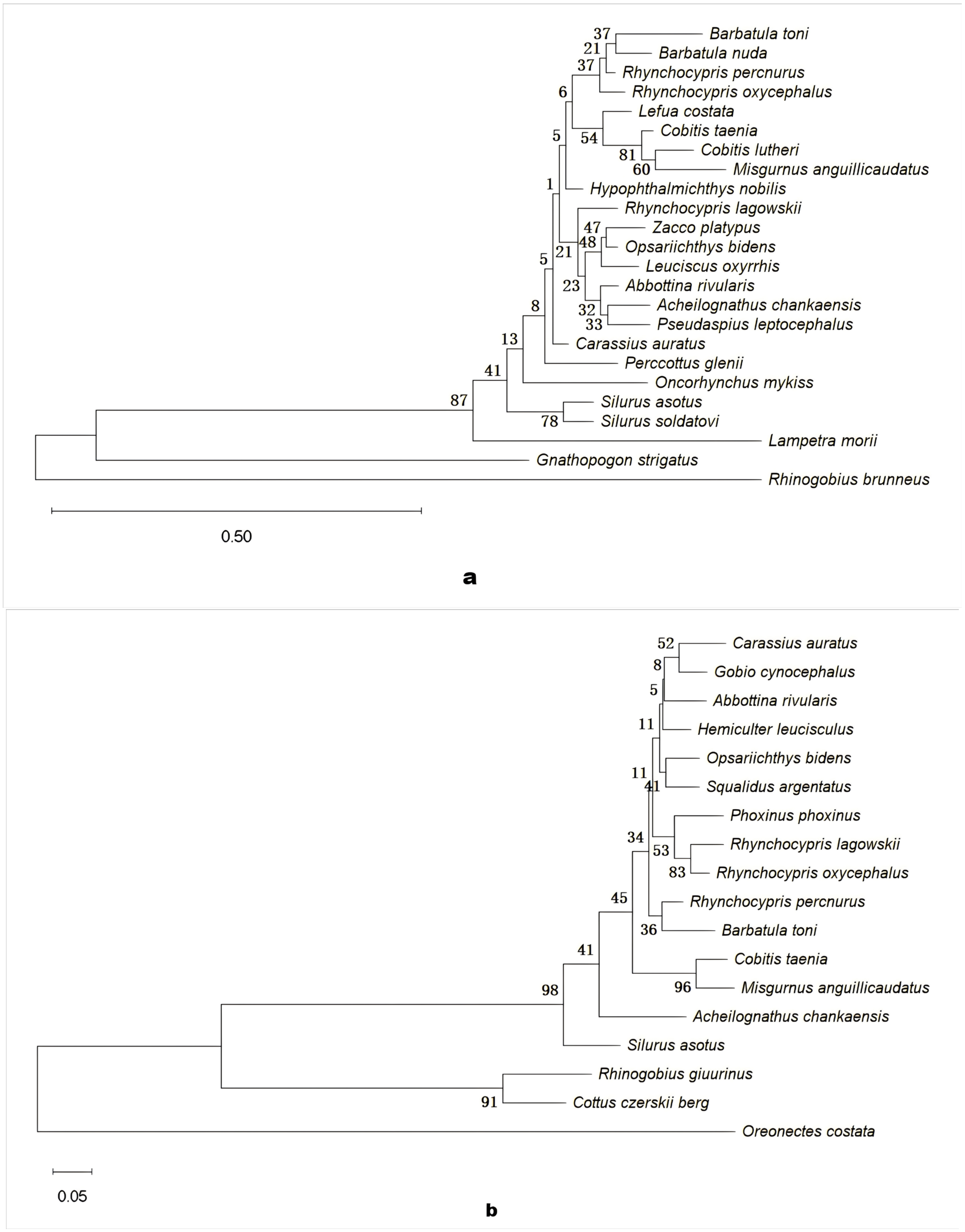 Fishes 10 00430 g008 Fishes 10 00430 g008