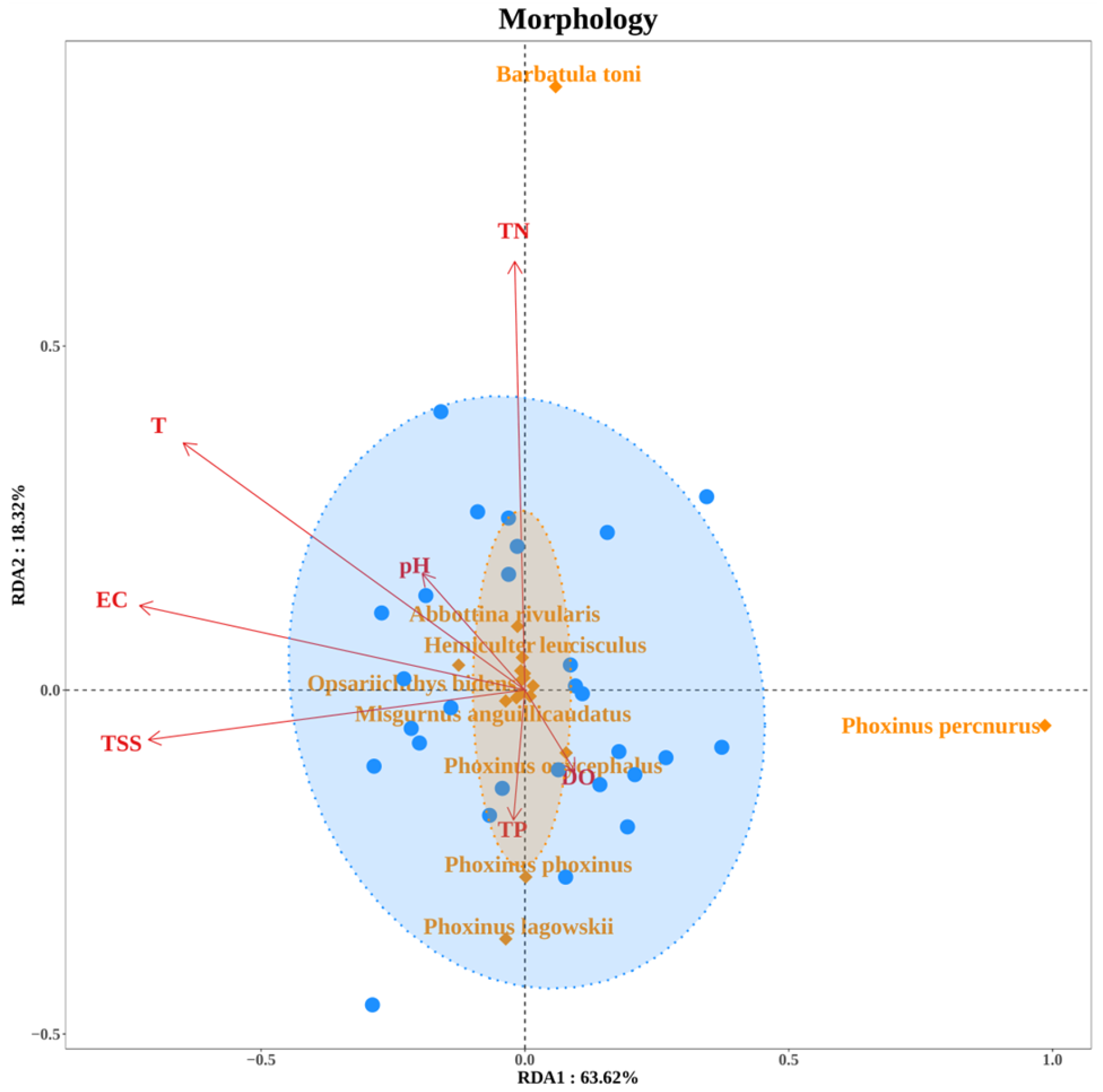 Fishes 10 00430 g012b Fishes 10 00430 g012b