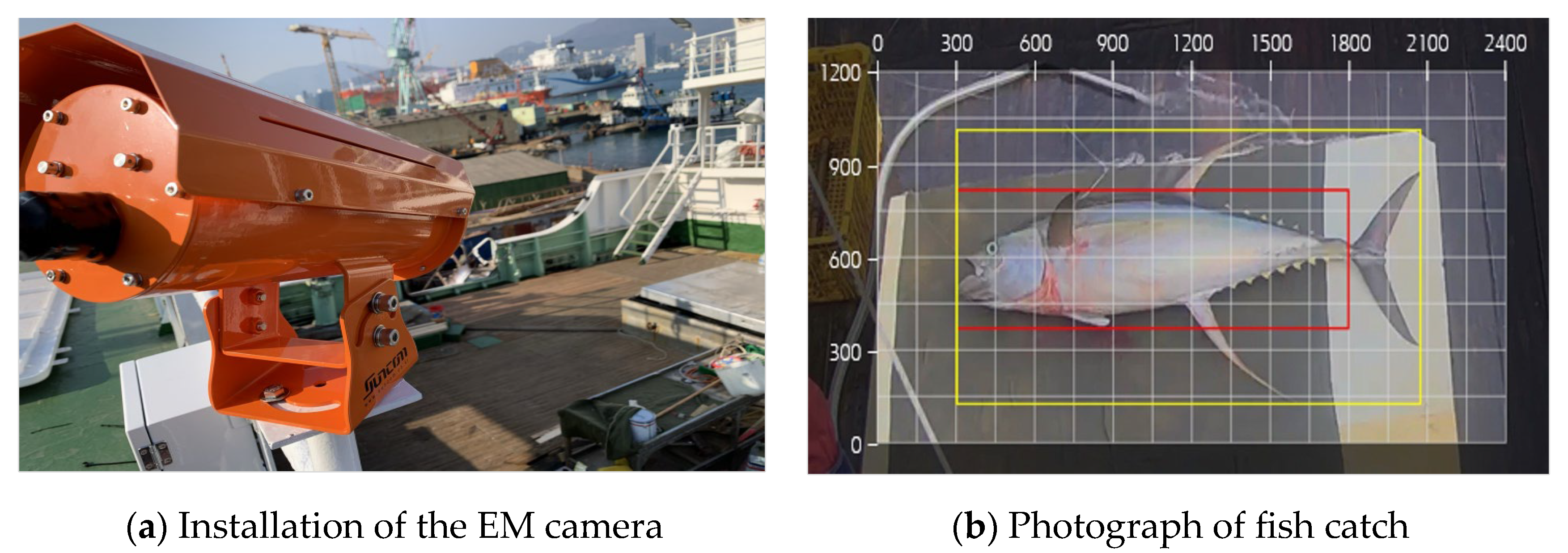 Fishes 10 00435 g004 Fishes 10 00435 g004