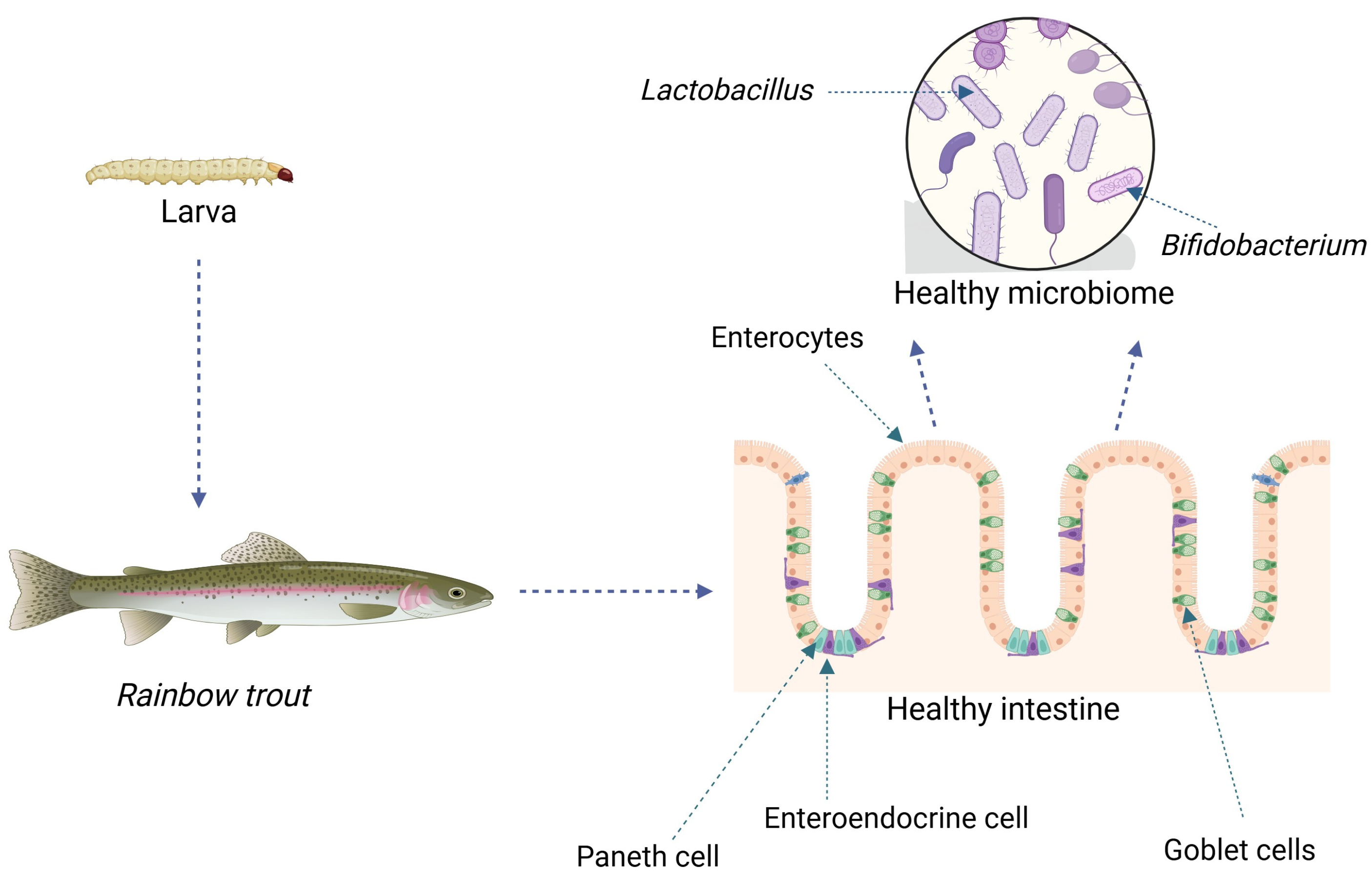 Fishes 10 00468 g001