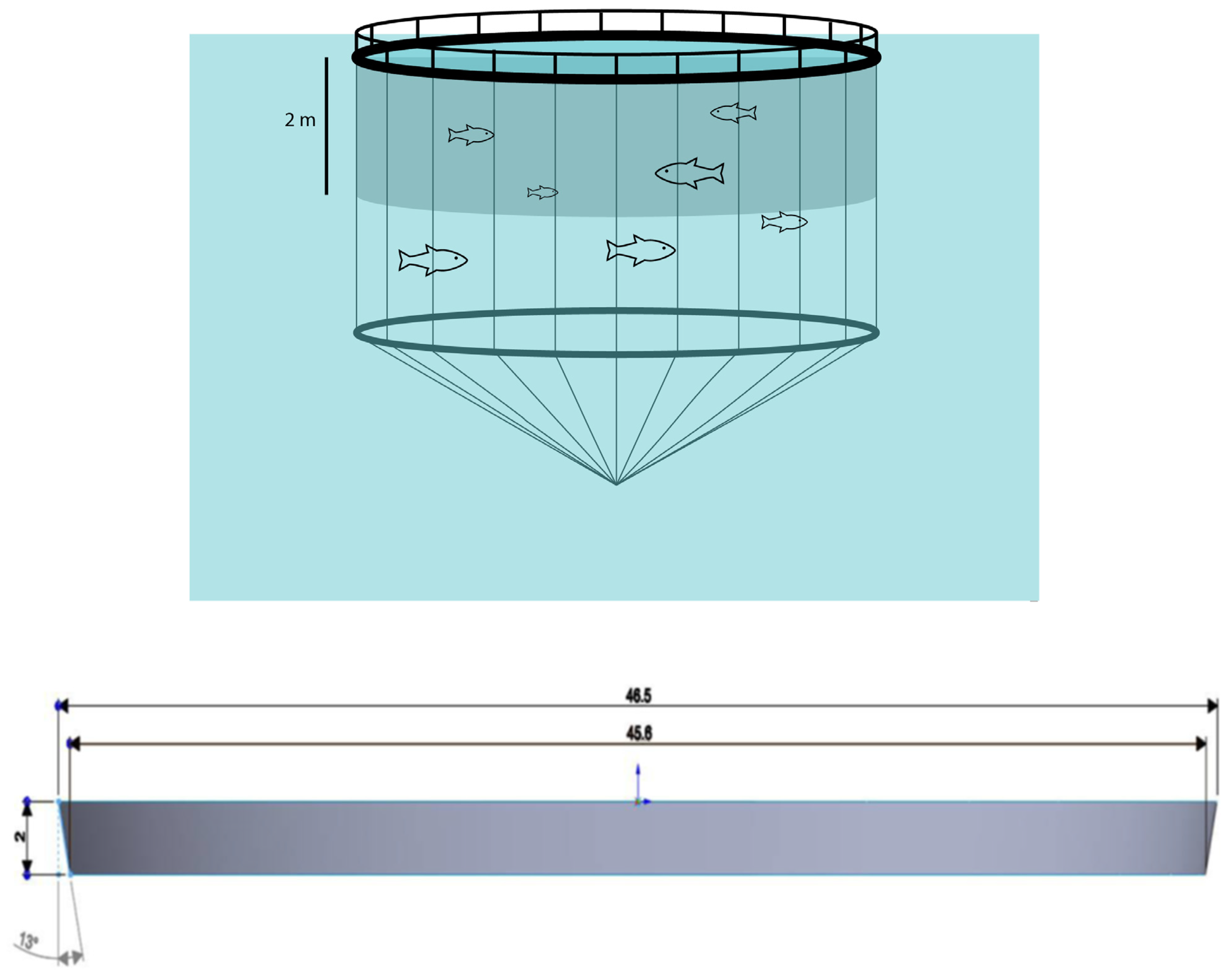 Fishes 10 00503 g001