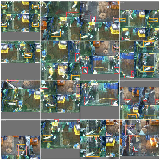 Fishes 10 00557 g004