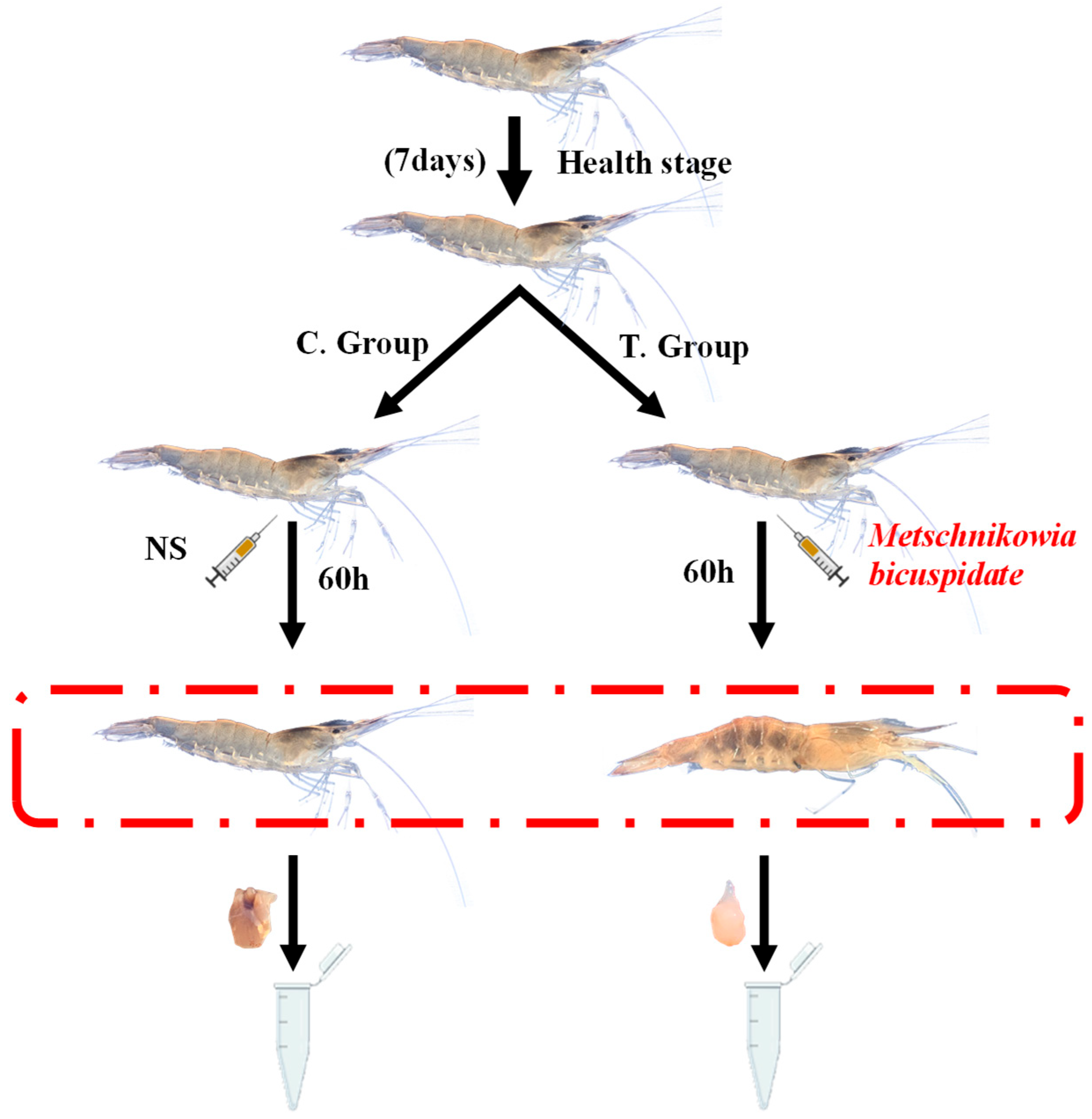 Fishes 10 00628 g001