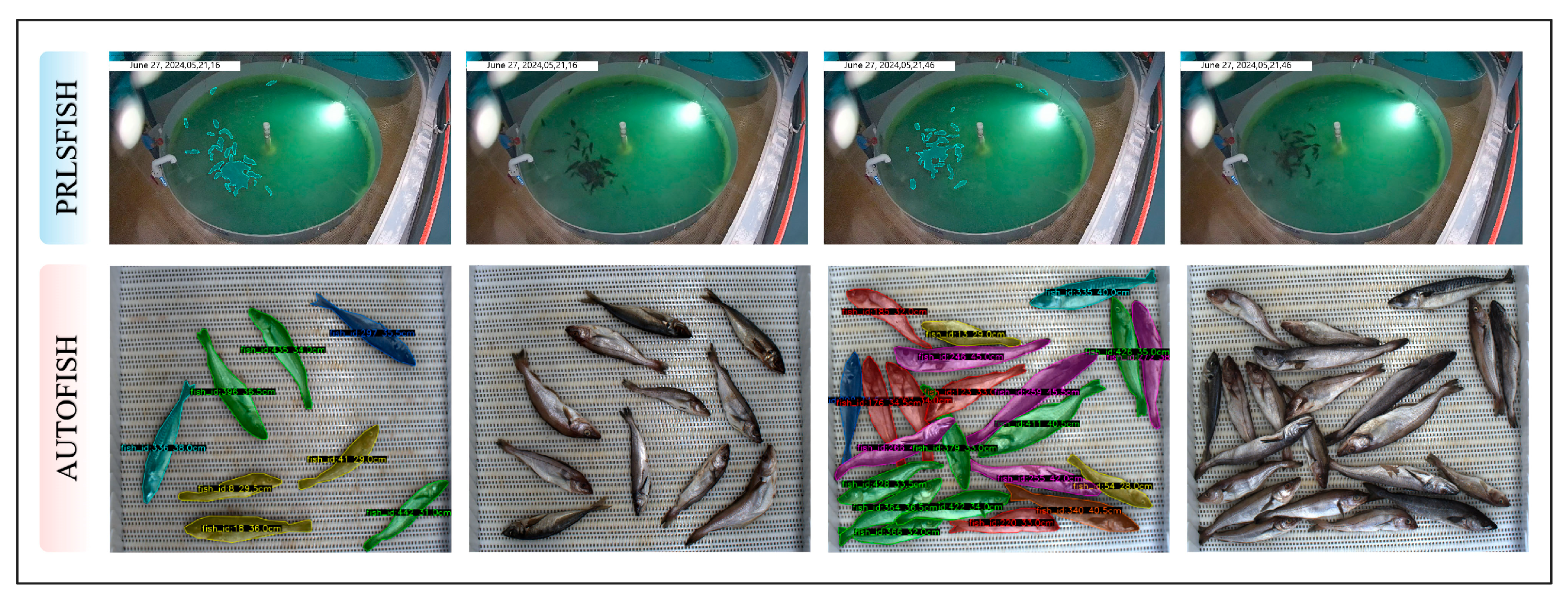 Fishes 10 00630 g011 Fishes 10 00630 g011