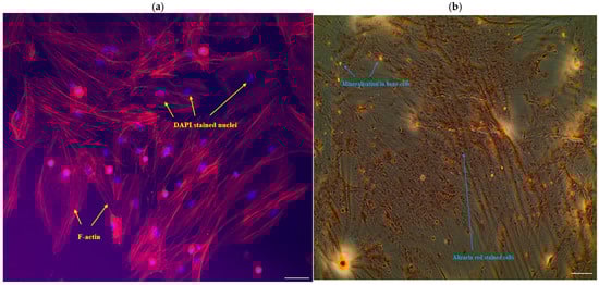 Fishes 10 00636 g003