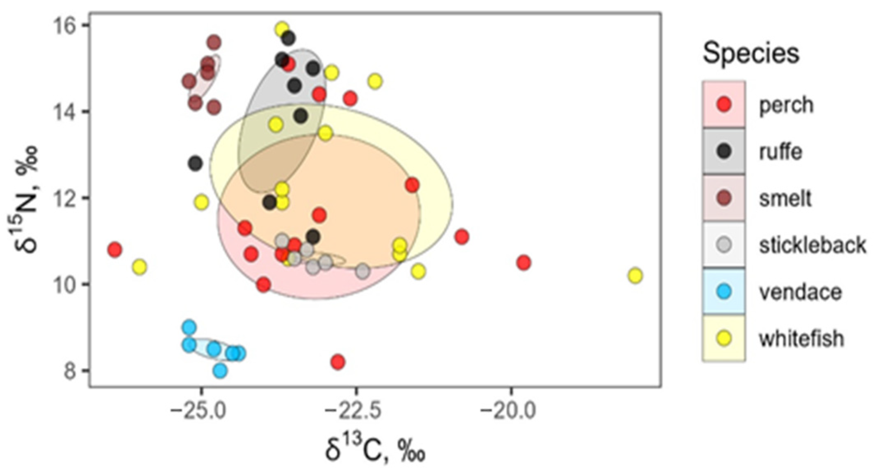 Fishes 10 00644 g006 Fishes 10 00644 g006