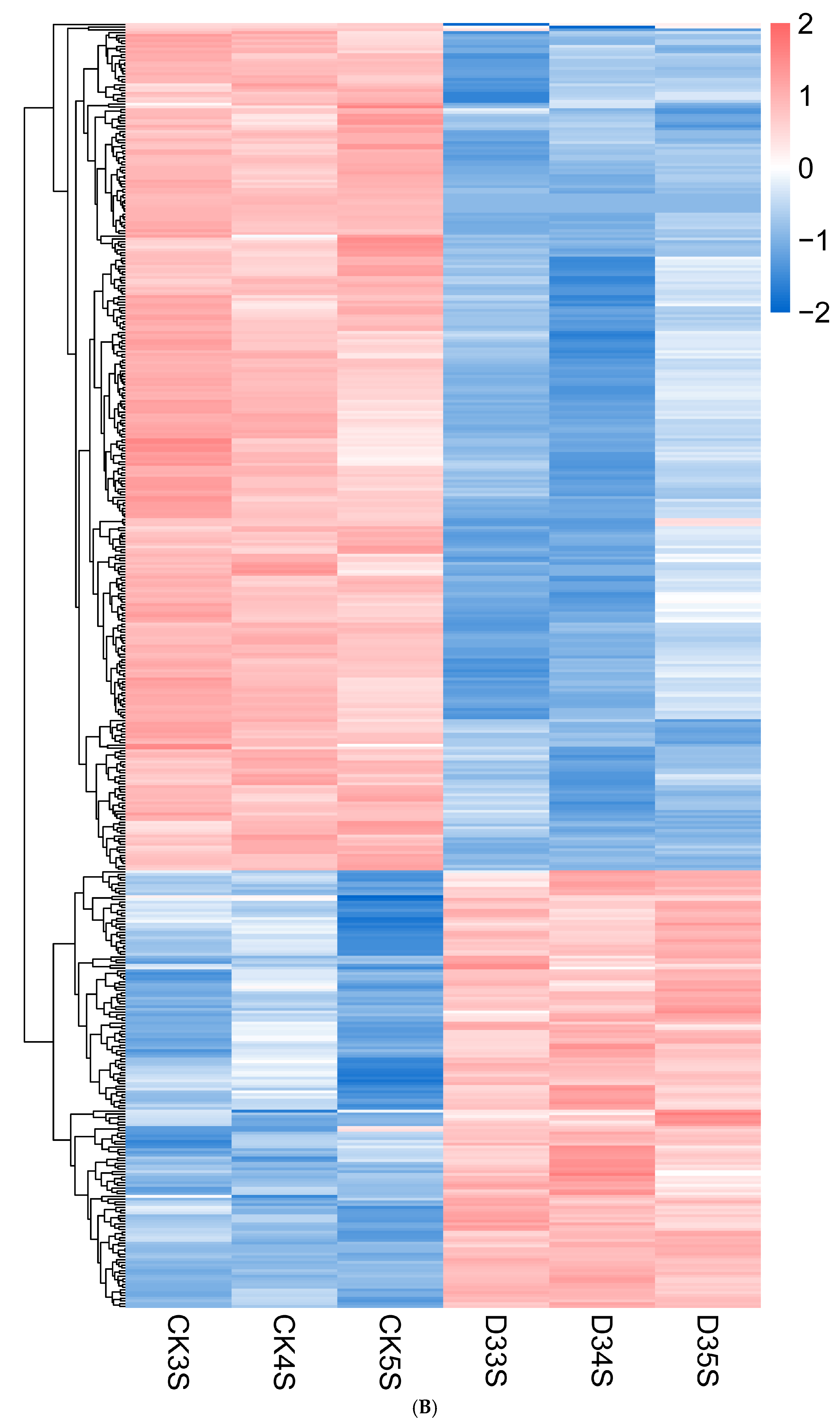 Fishes 10 00651 g002b Fishes 10 00651 g002b