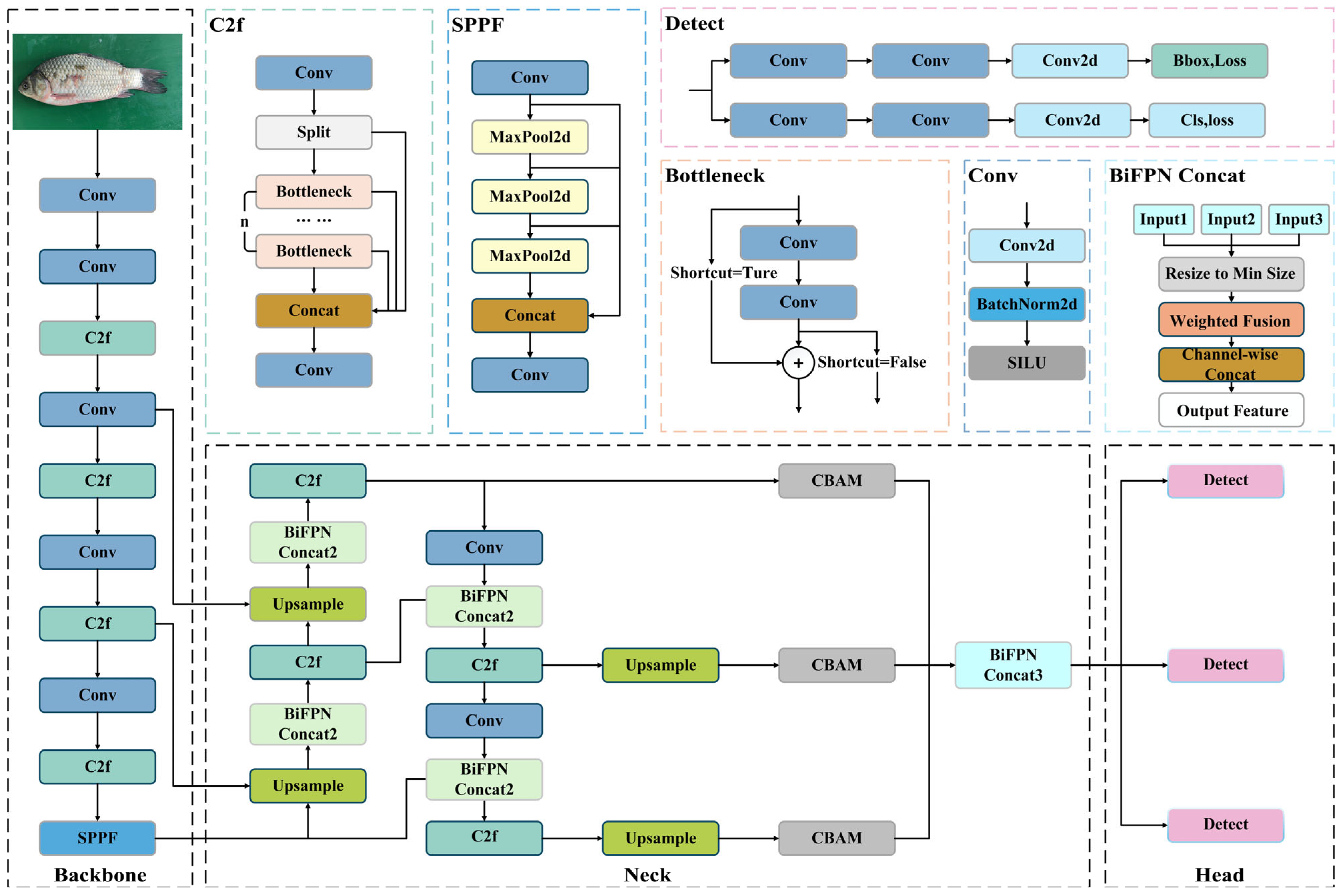 Fishes 11 00021 g006 Fishes 11 00021 g006