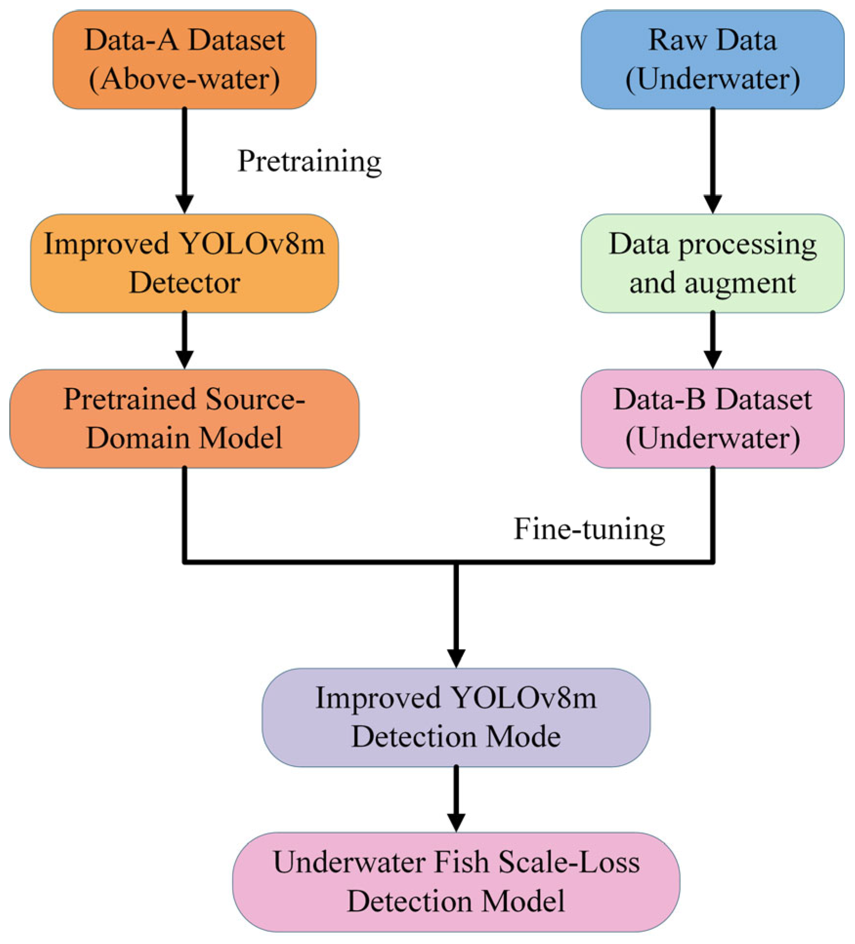 Fishes 11 00021 g007 Fishes 11 00021 g007