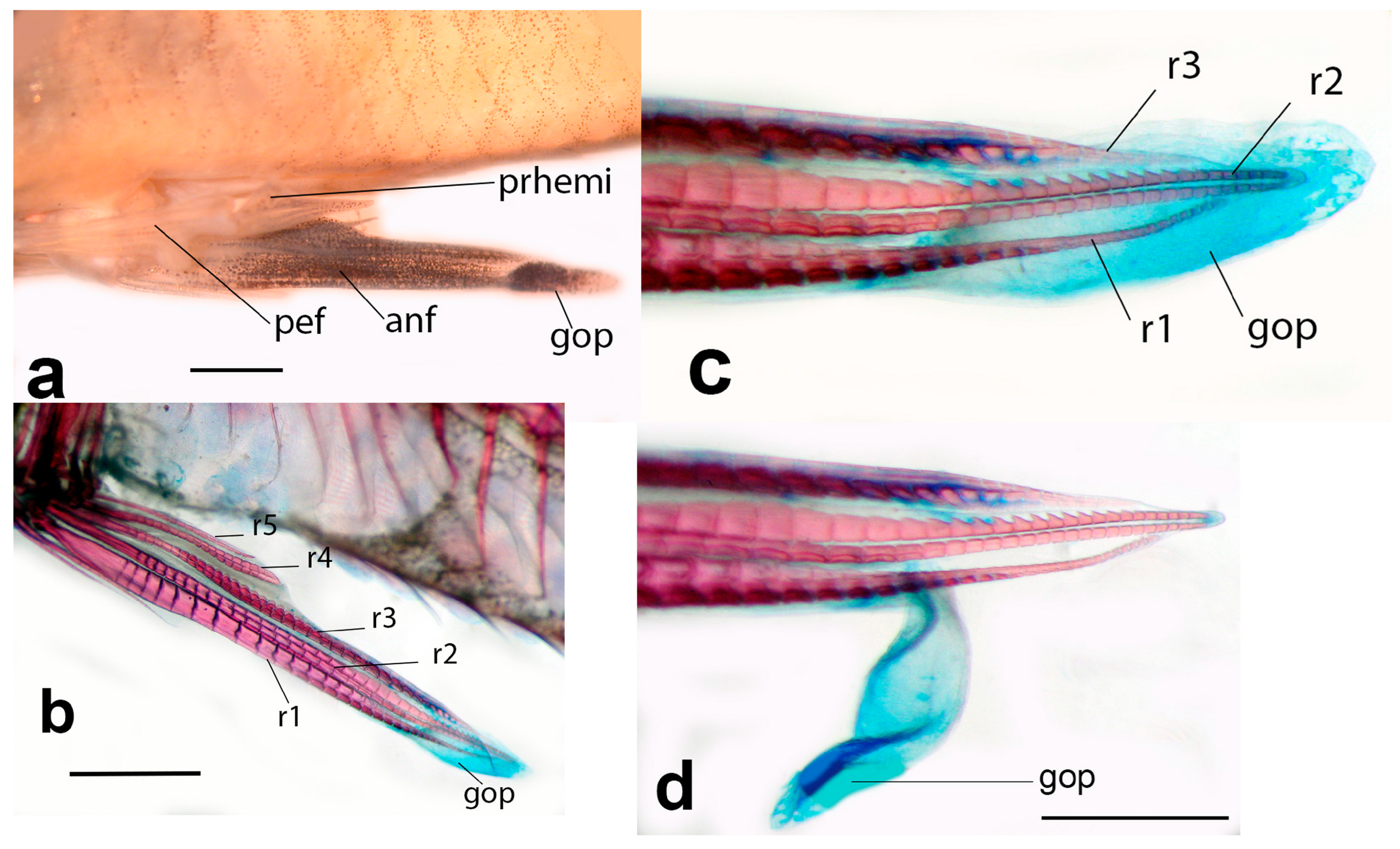 Fishes 11 00079 g004