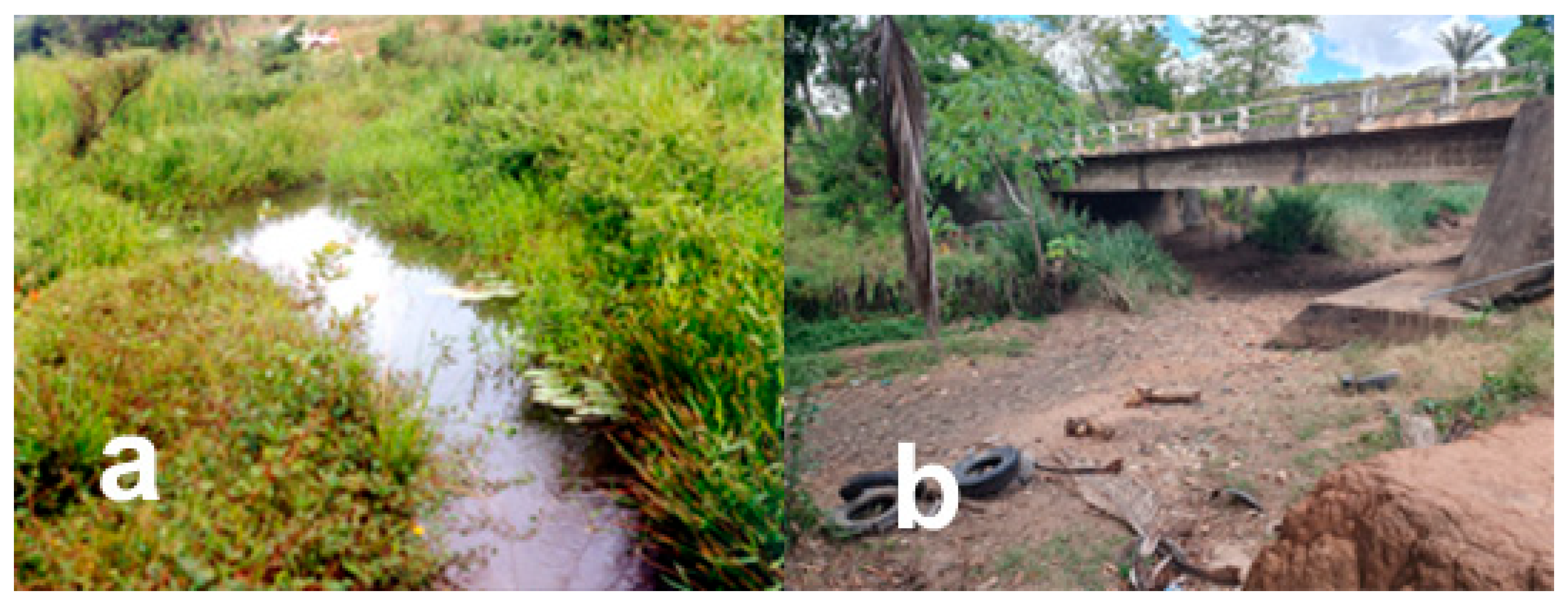 Fishes 11 00079 g006