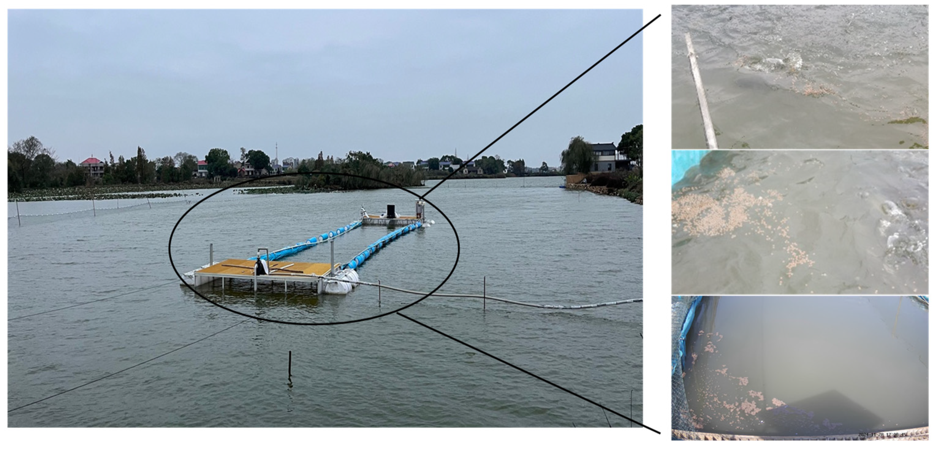 Fishes 11 00080 g001 Fishes 11 00080 g001