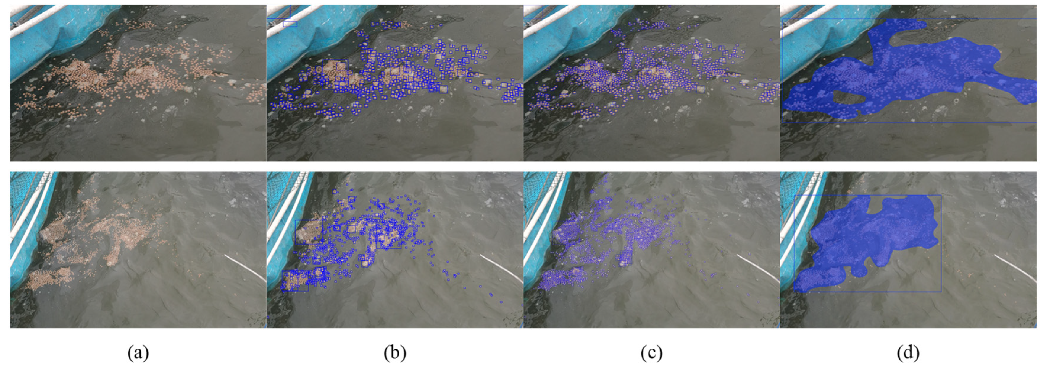 Fishes 11 00080 g003 Fishes 11 00080 g003