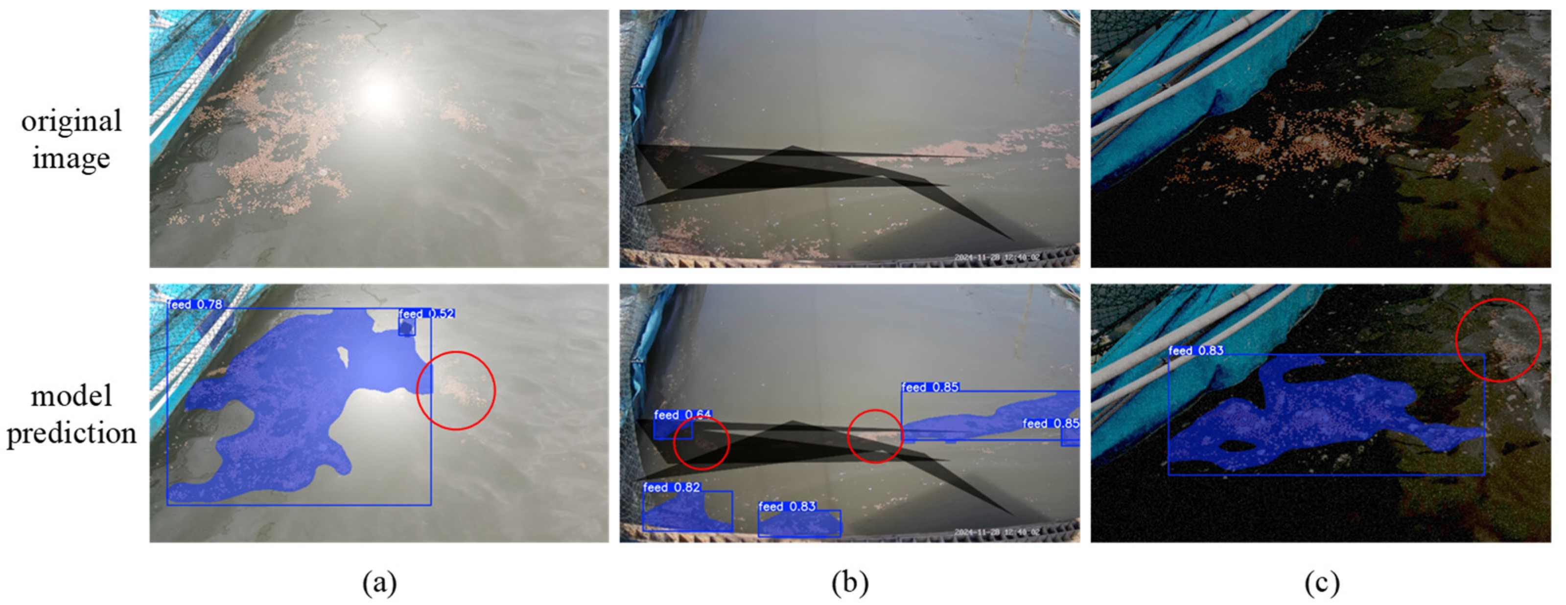 Fishes 11 00080 g013 Fishes 11 00080 g013