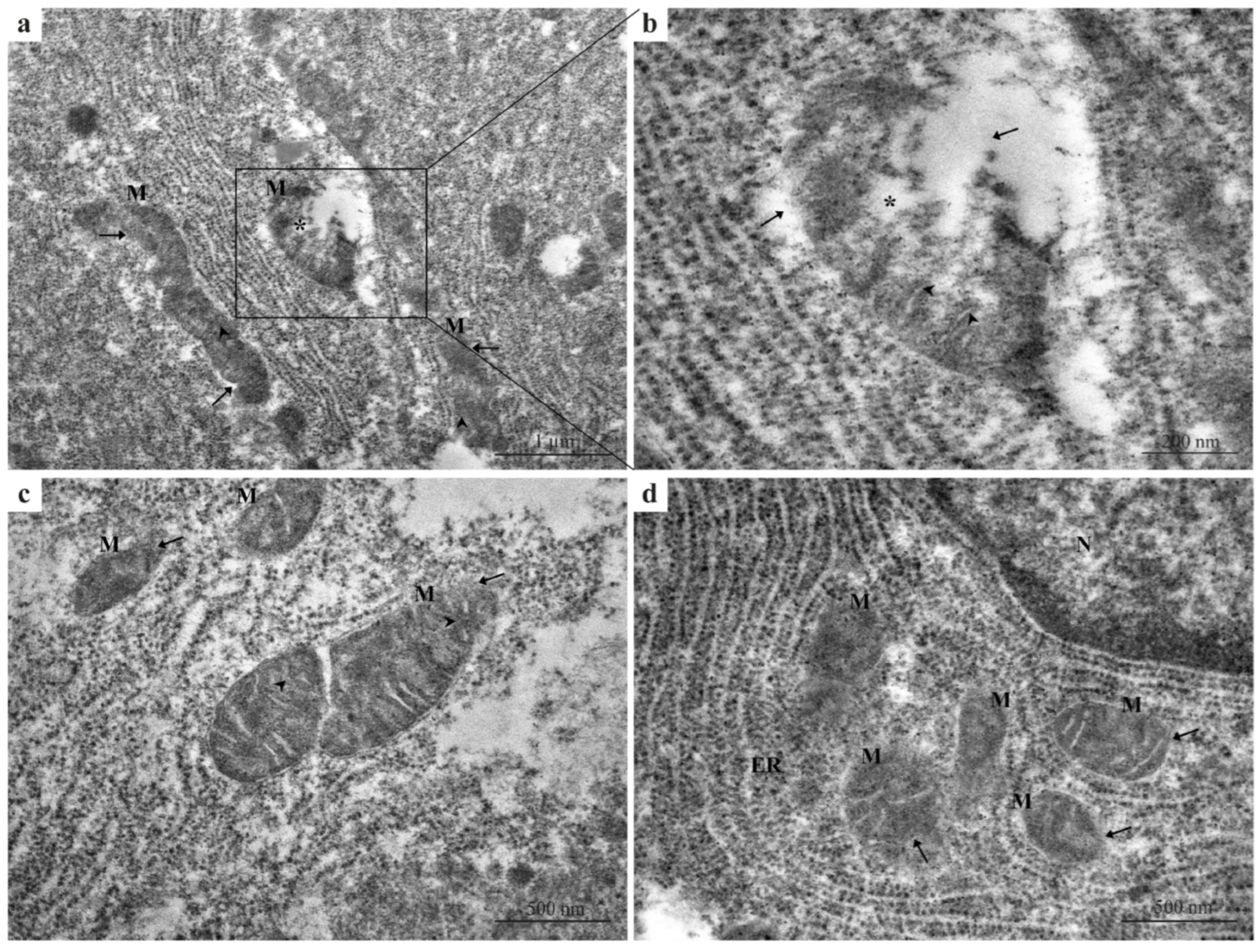 Fishes 11 00081 g002 Fishes 11 00081 g002