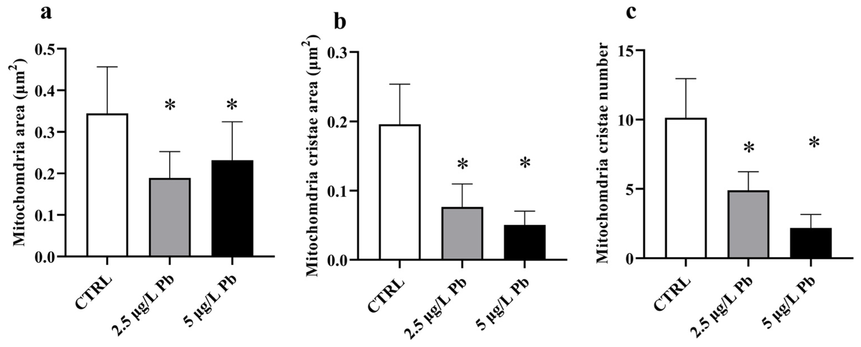 Fishes 11 00081 g004 Fishes 11 00081 g004