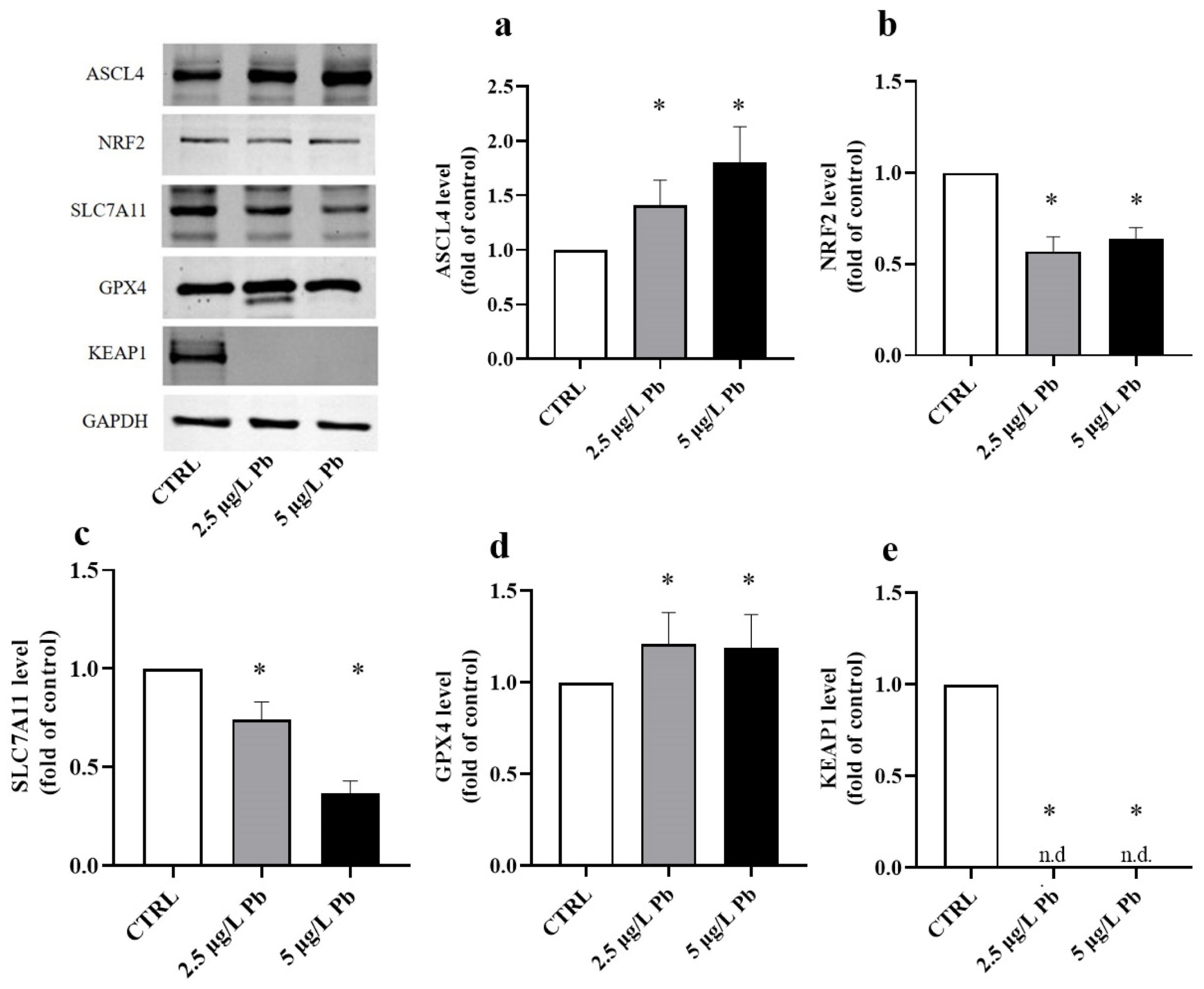 Fishes 11 00081 g005 Fishes 11 00081 g005