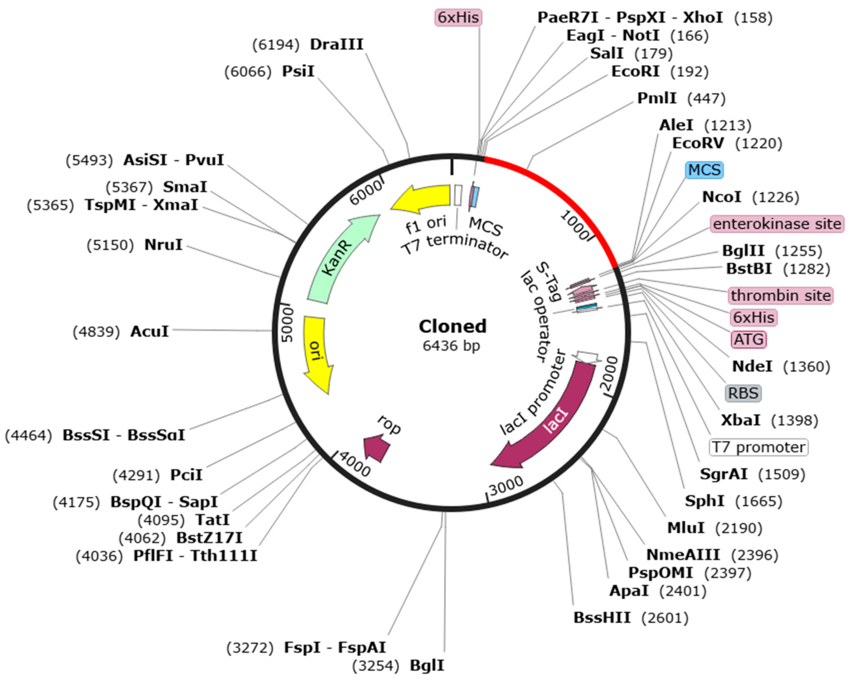 Fishes 11 00083 g002
