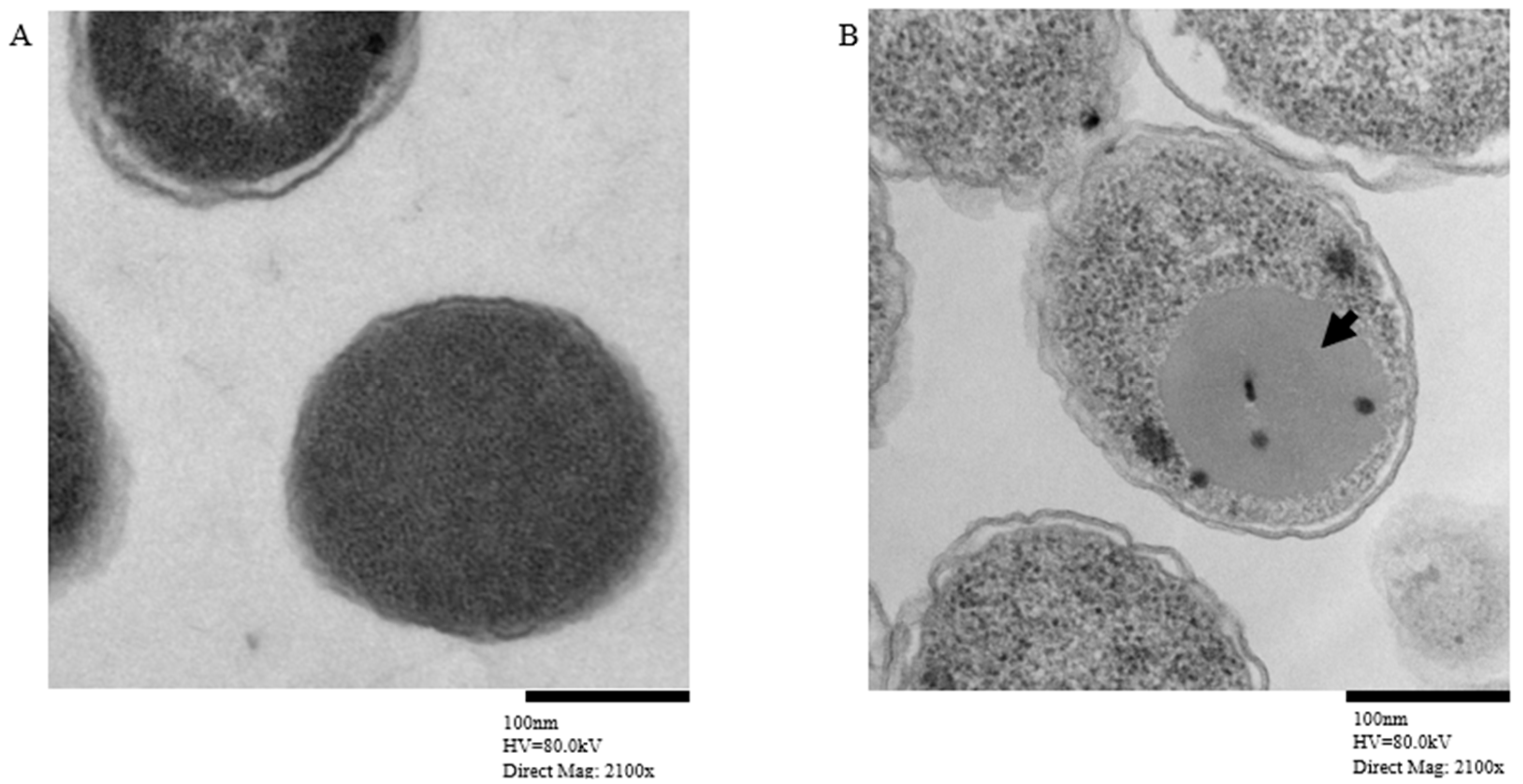 Fishes 11 00083 g005