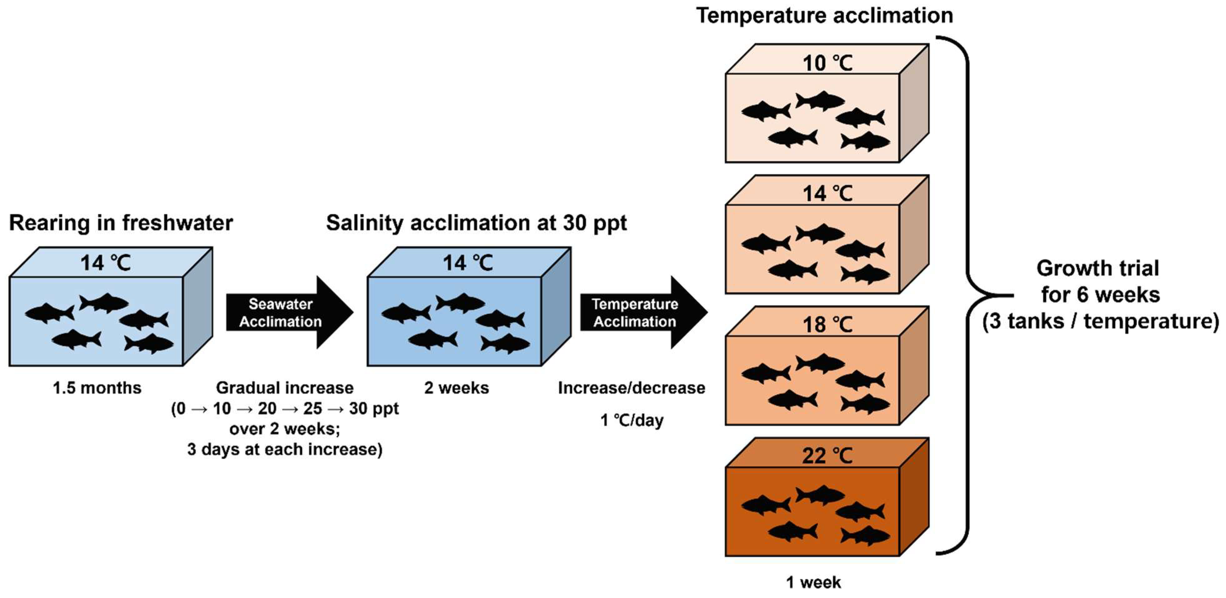 Fishes 11 00095 g001