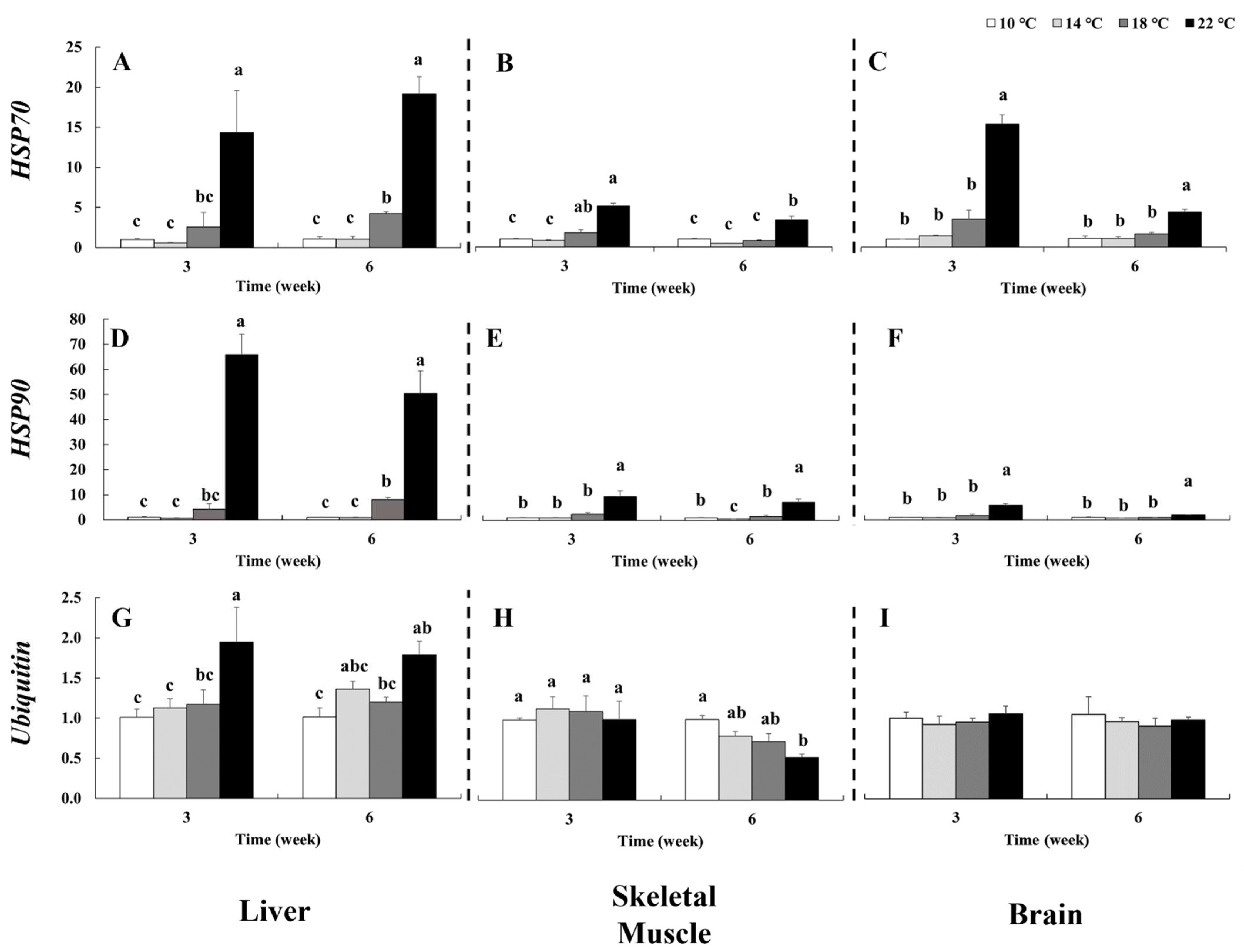 Fishes 11 00095 g002