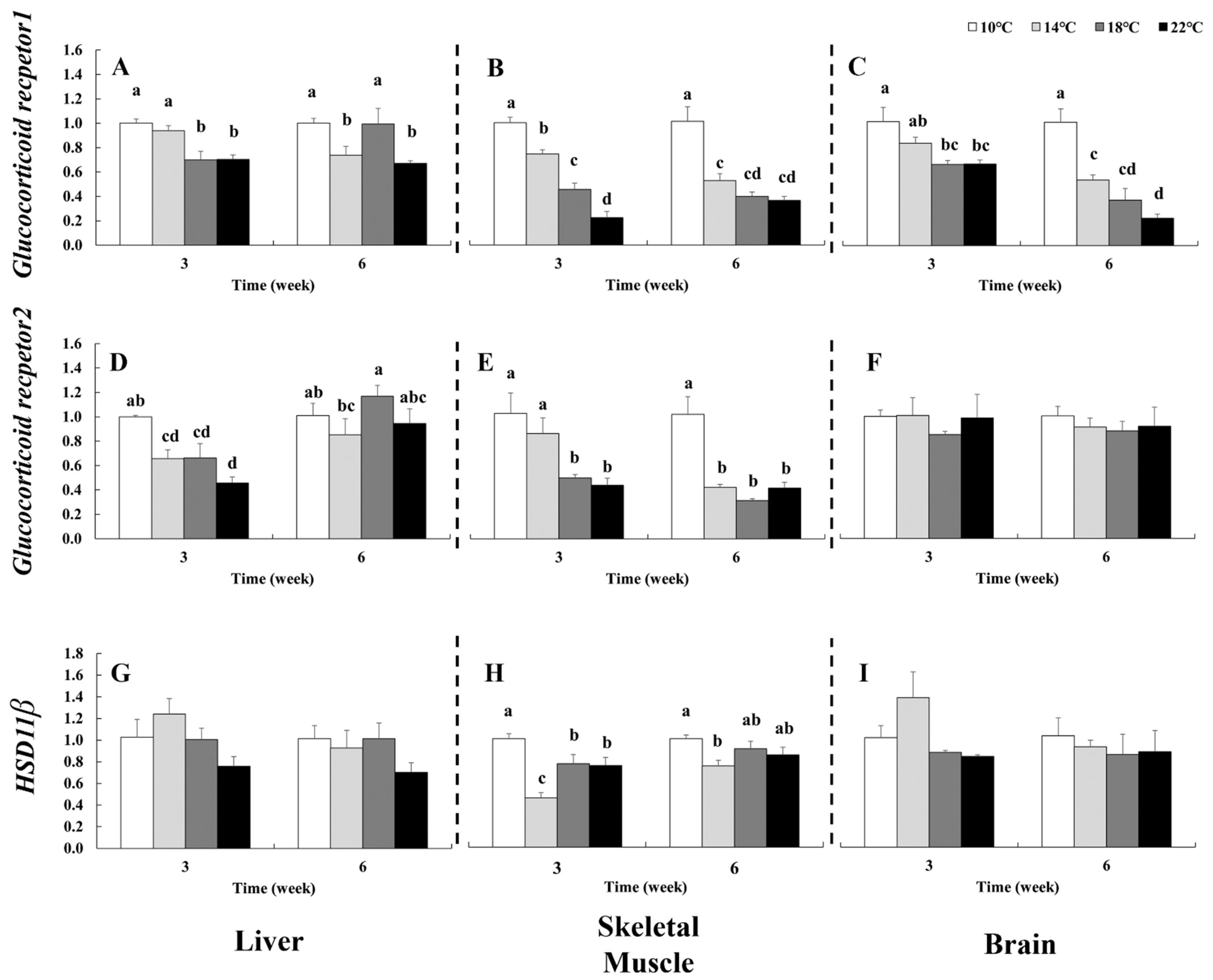 Fishes 11 00095 g003