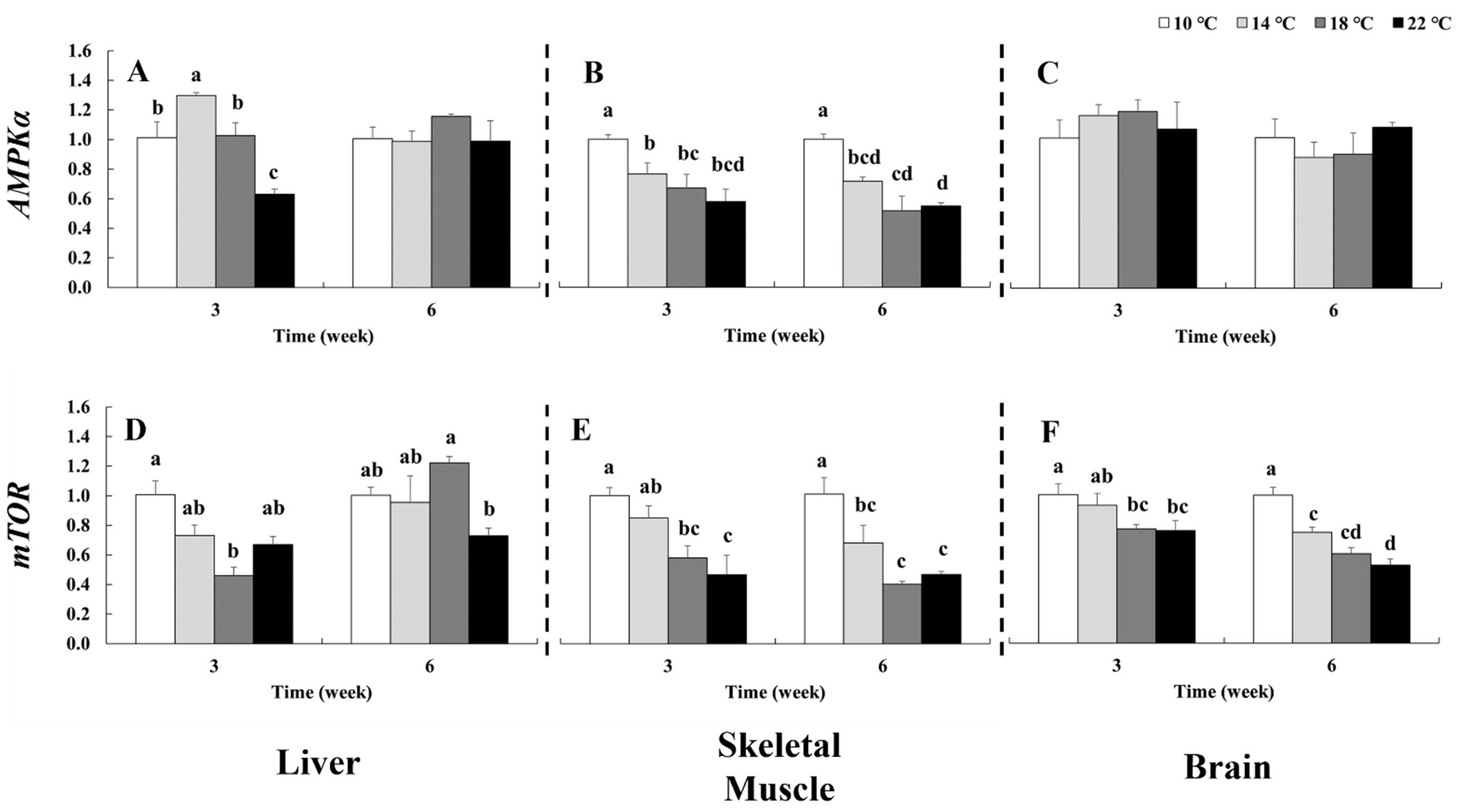 Fishes 11 00095 g005