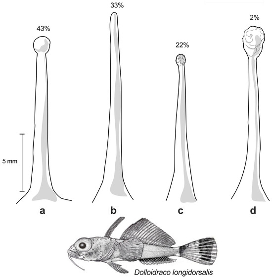 Fishes 11 00193 g008