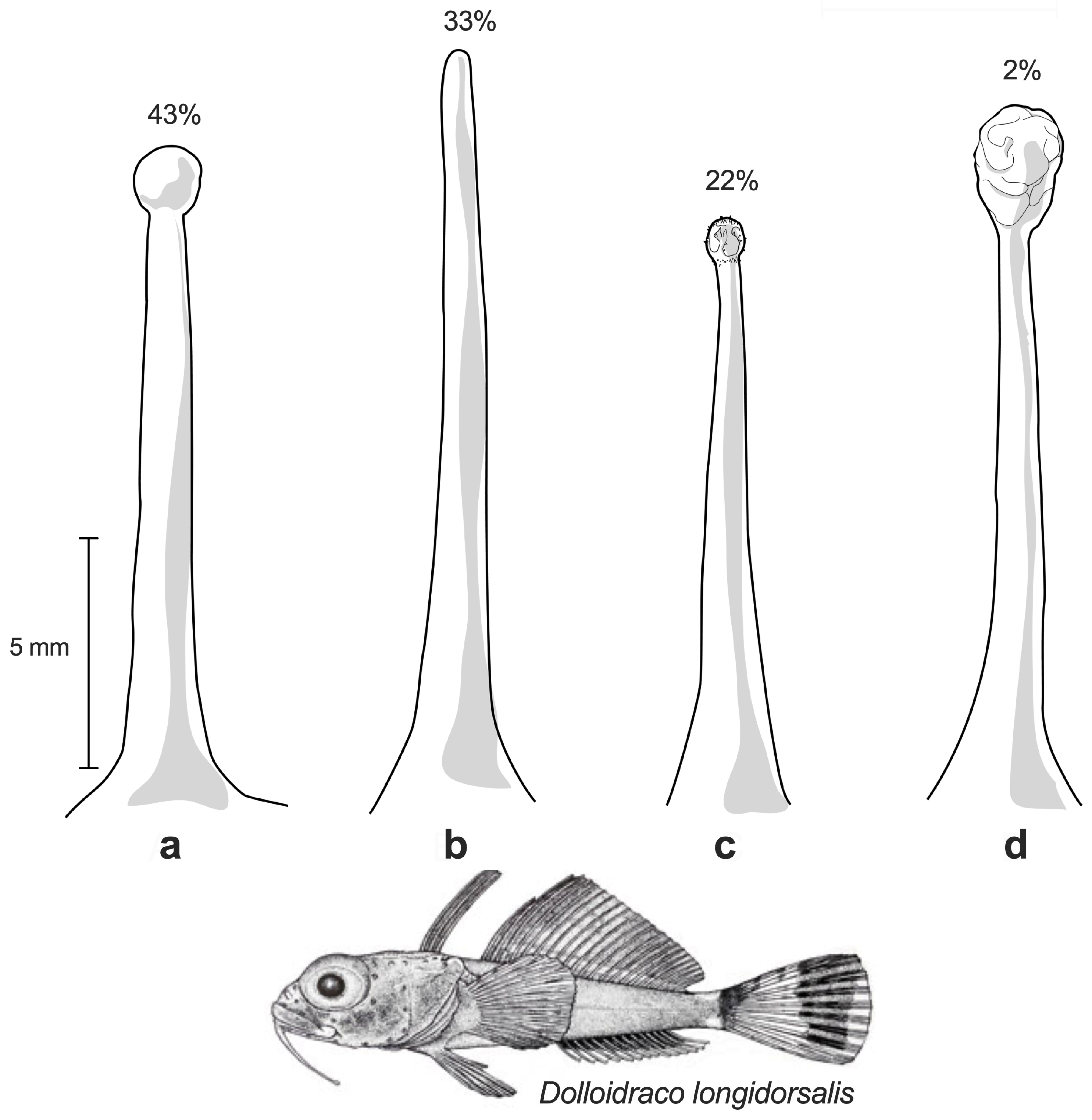 Fishes 11 00193 g008 Fishes 11 00193 g008