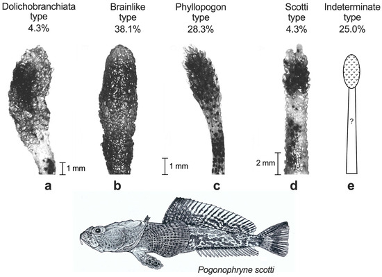 Fishes 11 00193 g010