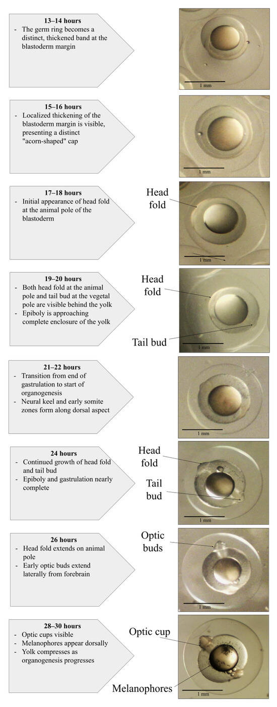 Fishes 11 00237 g004b Fishes 11 00237 g004b