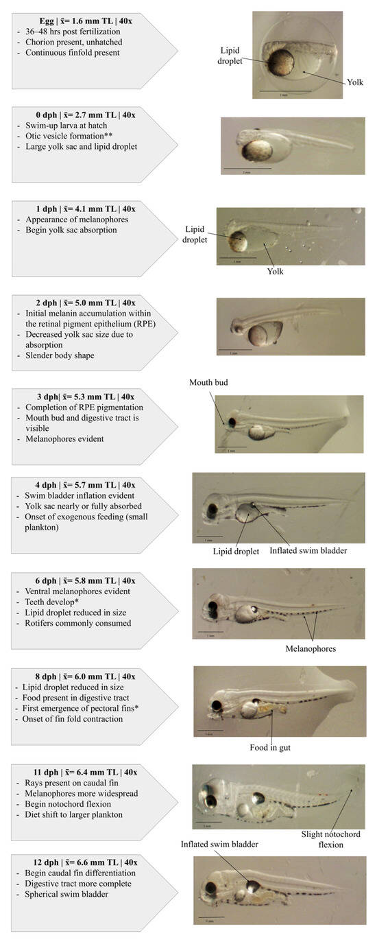 Fishes 11 00237 g005a Fishes 11 00237 g005a