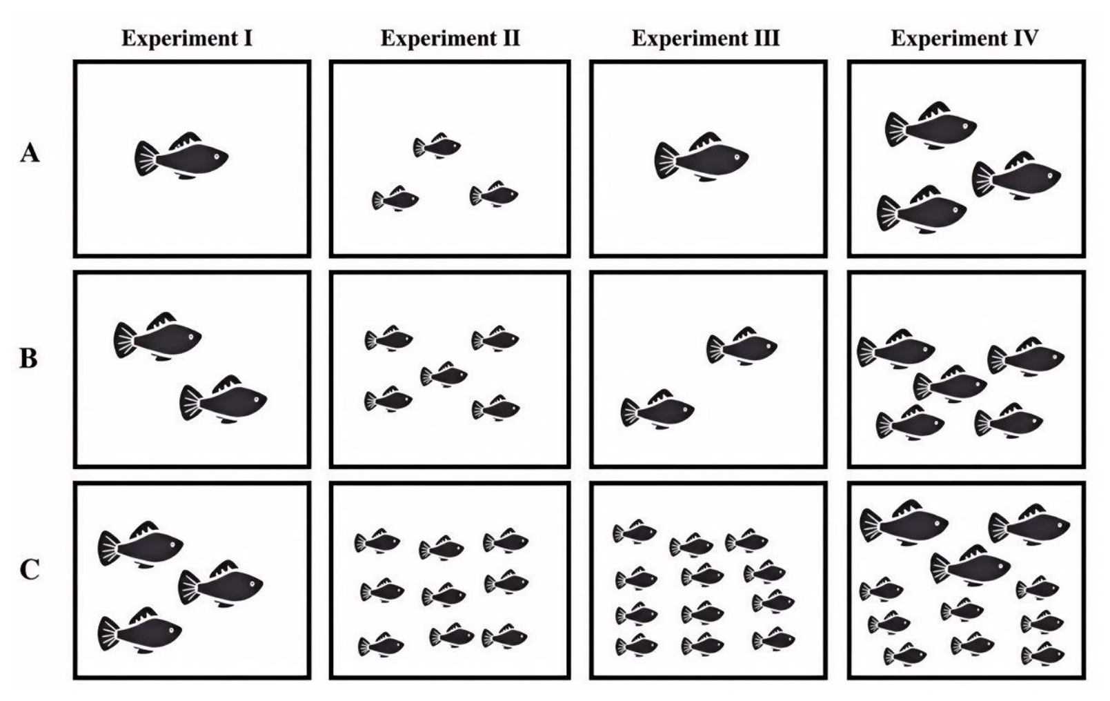 Fishes 11 00579 g001