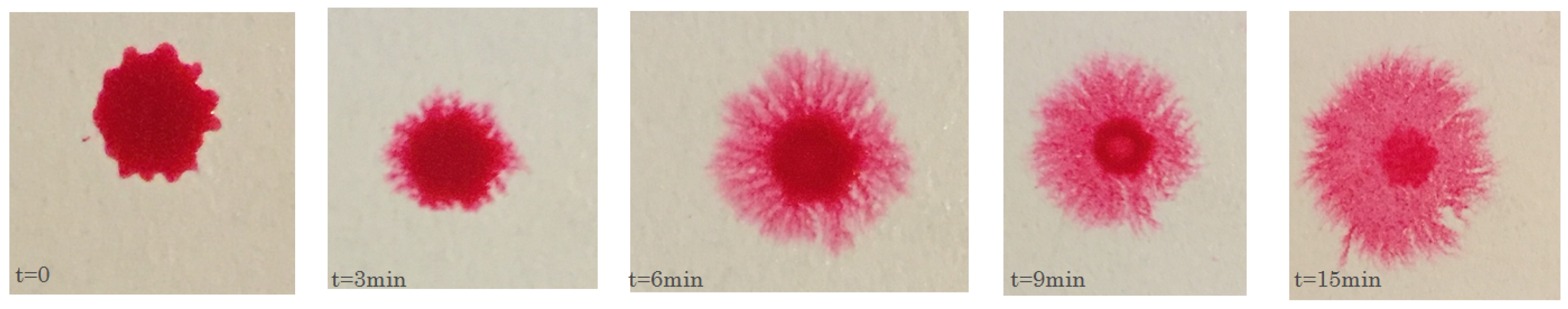 Fluids 01 00012 g004