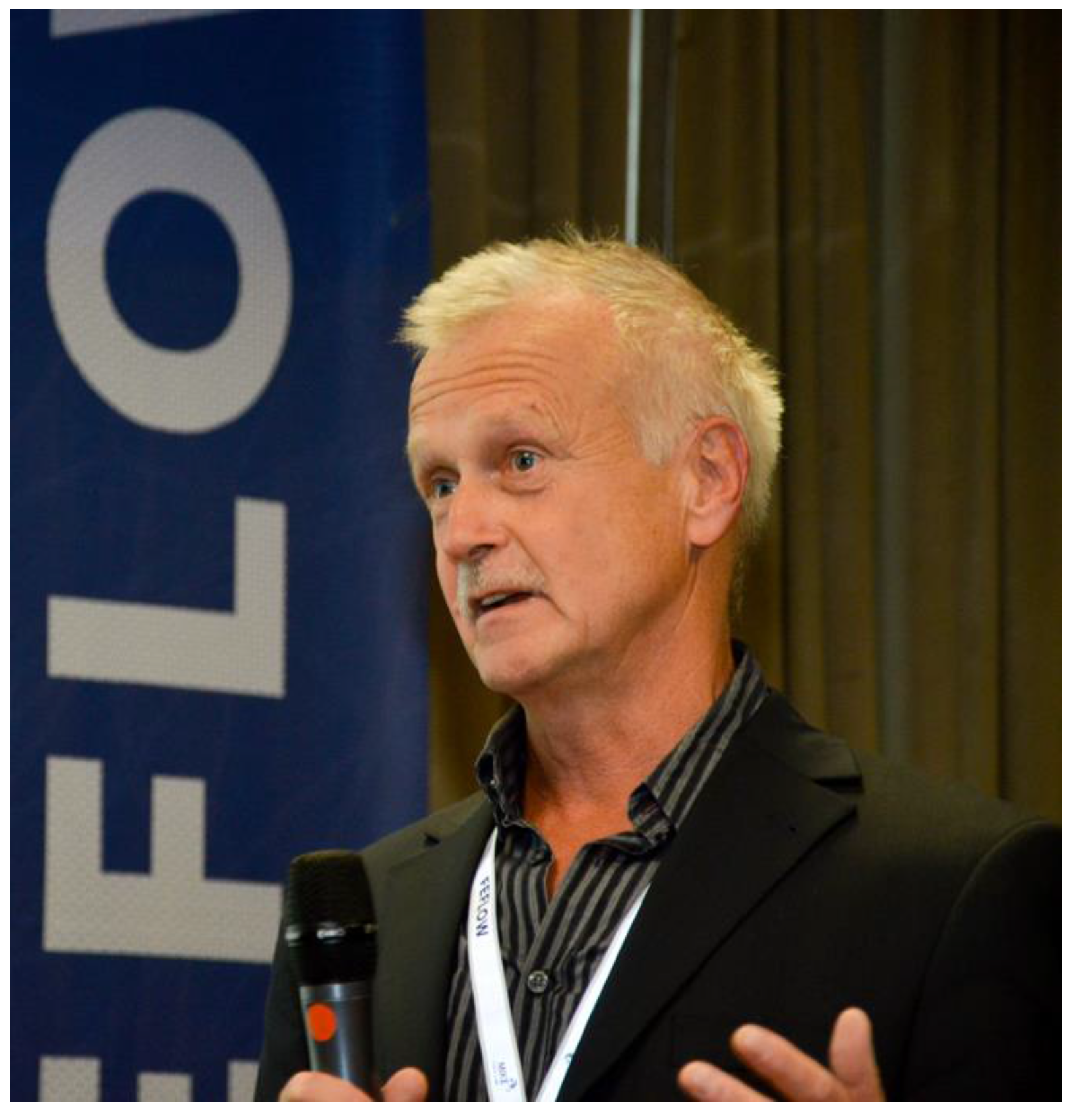 Fluids 02 00011 g008